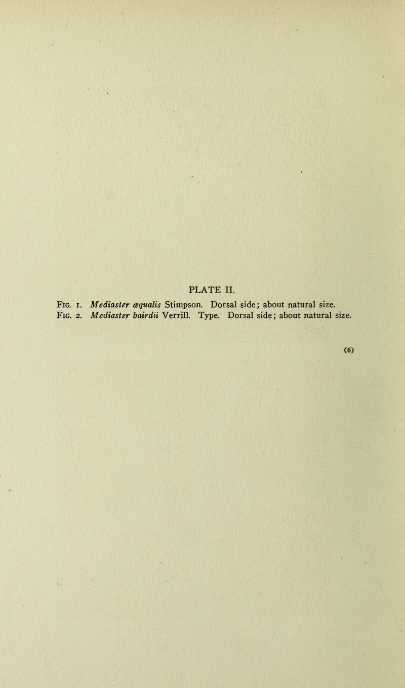 Fig. I. Mediaster aqualis Stimpson. Dorsal side; about natural size. Fig. 2. Mediaster bairdii Verrill. Type. Dorsal side; about natural size. (6)