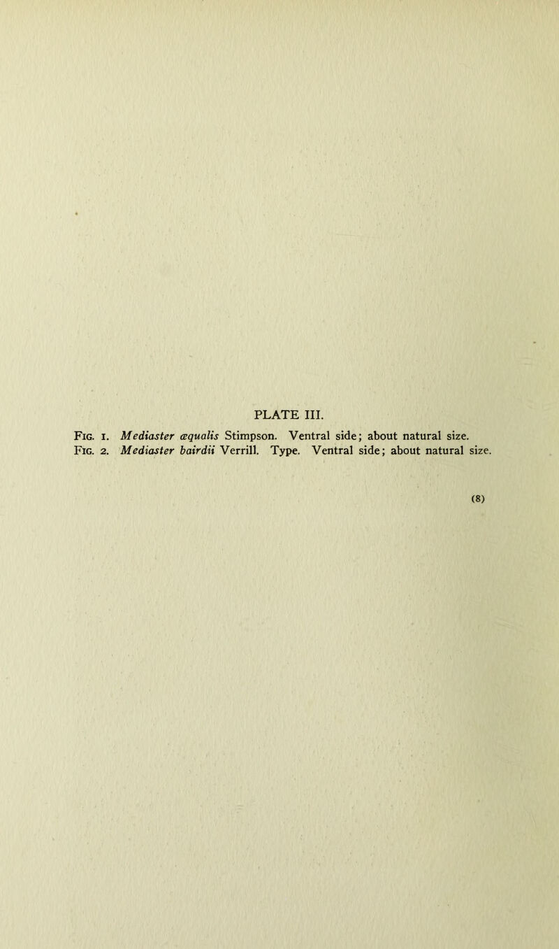 Fig. I. Mediaster cequalis Stimpson. Ventral side; about natural size. Fig. 2. Mediaster bairdii Verrill. Type. Ventral side; about natural size. (8)