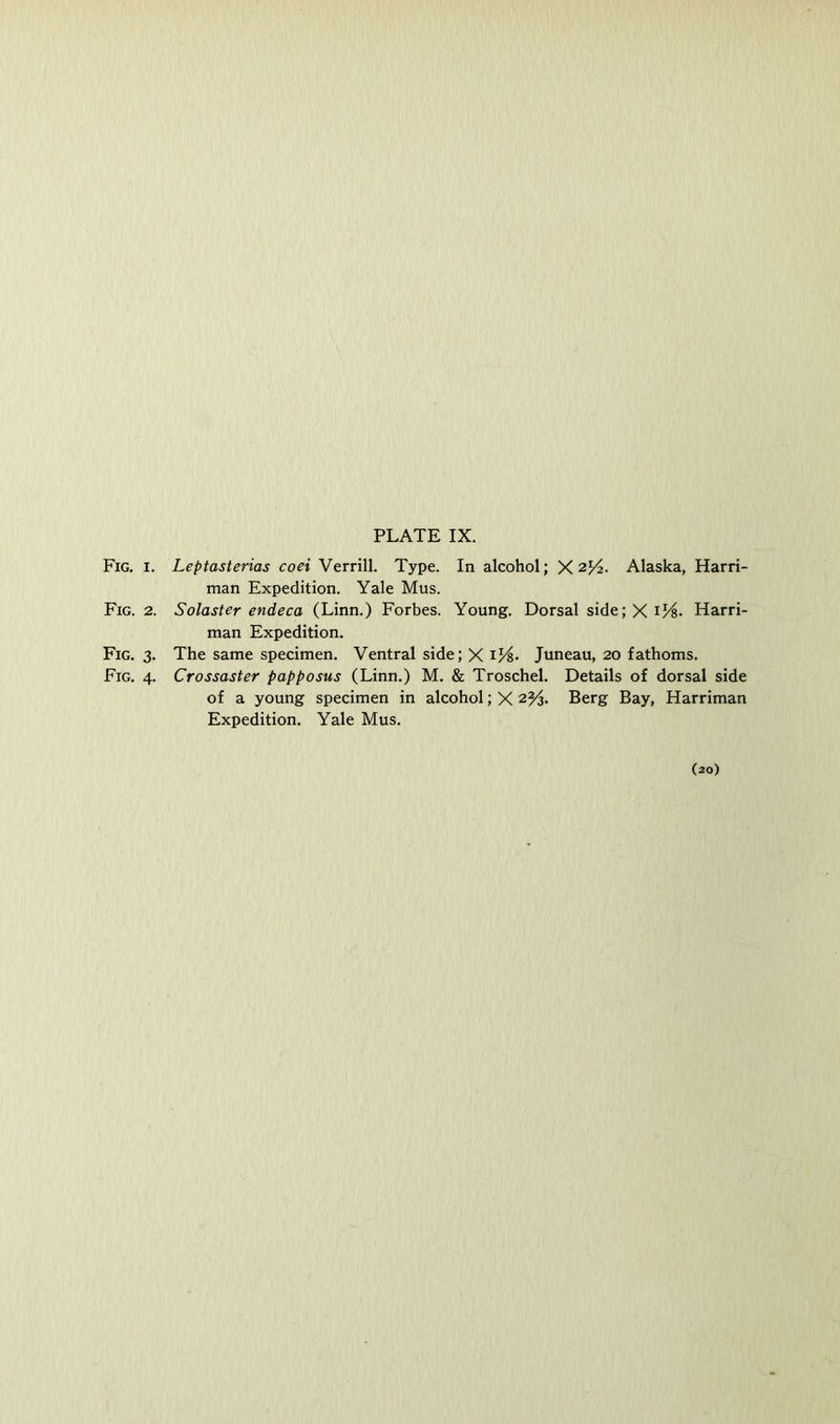 Fig. I. Leptasterias coei Verrill. Type. In alcohol; X Alaska, Harri- man Expedition. Yale Mus. Fig. 2. Solaster endeca (Linn.) Forbes. Young. Dorsal side; X i/4- Harri- man Expedition. Fig. 3. The same specimen. Ventral side; X Juneau, 20 fathoms. Fig. 4. Crossaster papposus (Linn.) M. & Troschel. Details of dorsal side of a young specimen in alcohol; X Berg Bay, Harriman Expedition. Yale Mus. (20)
