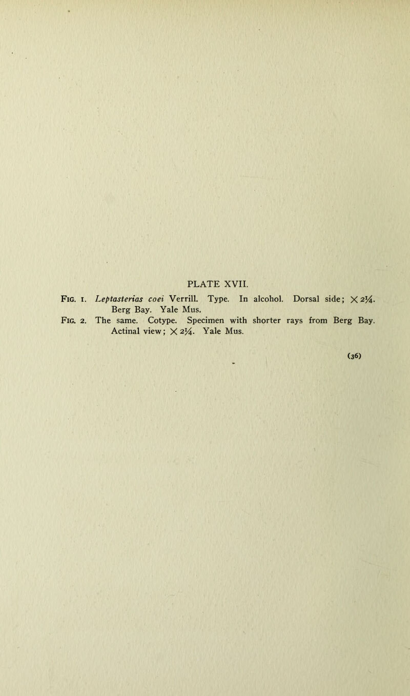 Fig. I. Leptasterias coei Verrill. Type. In alcohol. Berg Bay. Yale Mus. Fig. 2. The same. Cotype. Specimen with shorter Actinal view; y.2%. Yale Mus. Dorsal side; X 254- rays from Berg Bay. (36)
