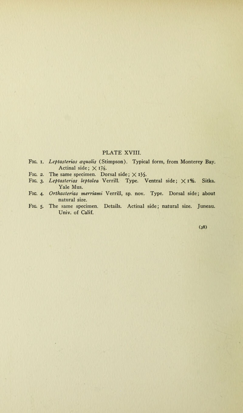 Fig. I. Leptasterias cequalis (Stimpson). Typical form, from Monterey Bay. Actinal side; X Fig. 2. The same specimen. Dorsal side; X Fig. 3. Leptasterias leptalea Verrill. Type. Ventral side; X Sitka. Yale Mus. Fig. 4. Orthasterias merriami Verrill, sp. nov. Type. Dorsal side; about natural size. Fig. 5. The same specimen. Details. Actinal side; natural size. Juneau. Univ. of Calif. (38)