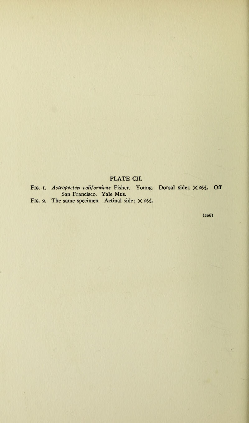 Fig. 1. Astropecten californicus Fisher. Young. Dorsal side; Off San Francisco. Yale Mus. Fig. 2. The same specimen. Actinal side; X (ao6)