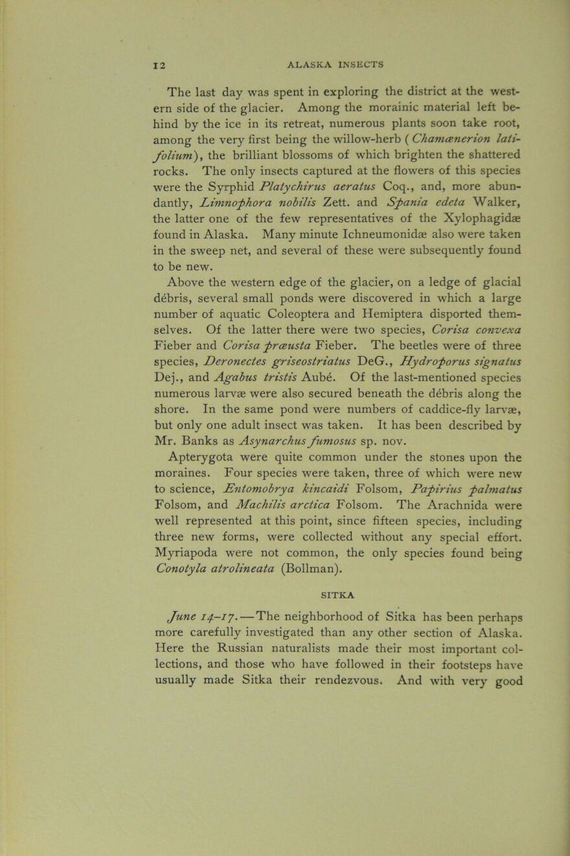 The last day was spent in exploring the district at the west- ern side of the glacier. Among the morainic material left be- hind by the ice in its retreat, numerous plants soon take root, among the very first being the willow-herb ( Chamcenerion lati- folium), the brilliant blossoms of which brighten the shattered rocks. The only insects captured at the flowers of this species were the Syrphid Platychirus aeralus Coq., and, more abun- dantly, Limnofhora nobilis Zett. and Scania edeta Walker, the latter one of the few representatives of the Xylophagidae found in Alaska. Many minute Ichneumonidae also were taken in the sweep net, and several of these were subsequently found to be new. Above the western edge of the glacier, on a ledge of glacial debris, several small ponds were discovered in which a large number of aquatic Coleoptera and Hemiptera disported them- selves. Of the latter there were two species, Corisa convexa Fieber and Corisa frczusta Fieber. The beetles were of three species, Deronectes griseostriatus DeG., Hydro for us signatus Dej., and Agabus tristis Aube. Of the last-mentioned species numerous larvae were also secured beneath the debris along the shore. In the same pond were numbers of caddice-fly larvae, but only one adult insect was taken. It has been described by Mr. Banks as Asynarchus fumosus sp. nov. Apterygota were quite common under the stones upon the moraines. Four species were taken, three of which were new to science, Entomobrya kincaidi Folsom, Paf iritis falmatus Folsom, and Machilis arctica Folsom. The Arachnida were well represented at this point, since fifteen species, including three new forms, were collected without any special effort. Myriapoda were not common, the only species found being Conotyla atrolineata (Bollman). SITKA June 14-17.—The neighborhood of Sitka has been perhaps more carefully investigated than any other section of Alaska. Here the Russian naturalists made their most important col- lections, and those who have followed in their footsteps have usually made Sitka their rendezvous. And with very good
