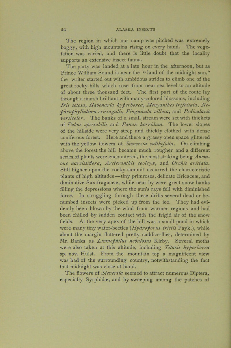 The region in which our camp was pitched was extremely boggy, with high mountains rising on every hand. The vege- tation was varied, and there is little doubt that the locality supports an extensive insect fauna. The party was landed at a late hour in the afternoon, but as Prince William Sound is near the “ land of the midnight sun,” the writer started out with ambitious strides to climb one of the great rocky hills which rose from near sea level to an altitude of about three thousand feet. The first part of the route lay through a marsh brilliant with many-colored blossoms, including Iris setosa, Habenaria hyperborea, Menyanthes trifoliata, Ne- phrophyllidium cristagalli, Pinguicula villosa, and Pedicularis versicolor. The banks of a small stream were set with thickets of Rubus spectabilis and Panax horridum. The lower slopes of the hillside were very steep and thickly clothed with dense coniferous forest. Here and there a grassy open space glittered with the yellow flowers of Sieversia calthifolia. On climbing above the forest the hill became much rougher and a different series of plants were encountered, the most striking being Anem- one narcissifiora, Arcterantkis cooleyce, and Orchis aristata. Still higher upon the rocky summit occurred the characteristic plants of high altitudes—tiny primroses, delicate Ericaceae, and diminutive Saxifragaceae, while near by were great snow banks filling the depressions where the sun’s rays fell with diminished force. In struggling through these drifts several dead or be- numbed insects were picked up from the ice. They had evi- dently been blown by the wind from warmer regions and had been chilled by sudden contact with the frigid air of the snow fields. At the very apex of the hill was a small pond in which were many tiny water-beetles (Hydroporus tristis Payk.), while about the margin fluttered pretty caddice-flies, determined by Mr. Banks as Limnephilus nebulostis Kirby. Several moths were also taken at this altitude, including Titacis hyperborea sp. nov. Hulst. From the mountain top a magnificent view was had of the surrounding country, notwithstanding the fact that midnight was close at hand. The flowers of Sieversia seemed to attract numerous Diptera, especially Syrphidas, and by sweeping among the patches of