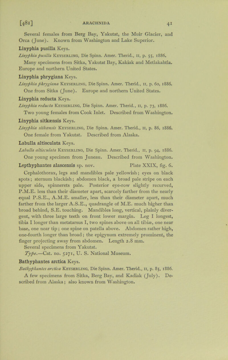 Several females from Berg Bay, Yakutat, the Muir Glacier, and Orca (June). Known from Washington and Lake Superior. Linyphia pusilla Keys. Linyphiapusilla Keyserling, Die Spinn. Amer. Therid., n, p. 55, 1886. Many specimens from Sitka, Yakutat Bay, Kakiak and Metlakahtla. Europe and northern United States. Linyphia phrygiana Keys. linyphiaphrygiana Keyserling, Die Spinn. Amer. Therid., 11, p. 60, 1886. One from Sitka (June). Europe and northern United States. Linyphia reducta Keys. Linyphia reducta Keyserling, Die Spinn. Amer. Therid., 11, p. 73, 1886. Two young females from Cook Inlet. Described from Washington. Linyphia sitkaensis Keys. Linyphia sitkcensis Keyserling, Die Spinn. Amer. Therid., 11, p. 86, 1886. One female from Yakutat. Described from Alaska. Labulla altioculata Keys. Labulla altioculala Keyserling, Die Spinn. Amer. Therid., 11, p. 94, 1886. One young specimen from Juneau. Described from Washington. Lepthyphantes alascensis sp. nov. Plate XXIX, fig. 6. Cephalothorax, legs and mandibles pale yellowish; eyes on black spots ; sternum blackish ; abdomen black, a broad pale stripe on each upper side, spinnerets pale. Posterior eye-row slightly recurved, P.M.E. less than their diameter apart, scarcely farther from the nearly equal P.S.E., A.M.E. smaller, less than their diameter apart, much farther from the larger A.S.E., quadrangle of M.E. much higher than broad behind, S.E. touching. Mandibles long, vertical, plainly diver- gent, with three large teeth on front lower margin. Leg I longest, tibia I longer than metatarsus I, two spines above on all tibias, one near base, one near tip ; one spine on patella above. Abdomen rather high, one-fourth longer than broad; the epigynum extremely prominent, the finger projecting away from abdomen. Length 2.8 mm. Several specimens from Yakutat. Type.—Cat. no. 5271, U. S. National Museum. Bathyphantes arctica Keys. Bathyphantes arctica Keyserling, Die Spinn. Amer. Therid., ir, p. 85, 1886. A few specimens from Sitka, Berg Bay, and Kadiak (July). De- scribed from Alaska ; also known from Washington.