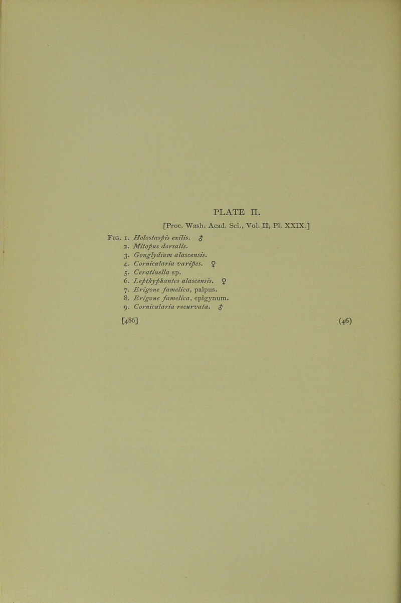 PLATE II. [Proc. Wash. Acad. Sci., Vol. II, PL XXIX.] Fig. i. Holostaspis extlis. $ 2. Mit opus dorsalis. 3. Gonglydium alascensis. 4. Cornicularia varipes. J 5. Ceratinetta sp. 6. Lepthyphantes alascensis. 7. Erigone famelica, palpus. 8. Erigone famelica, epigynum. 9. Cornicularia recurvata. $