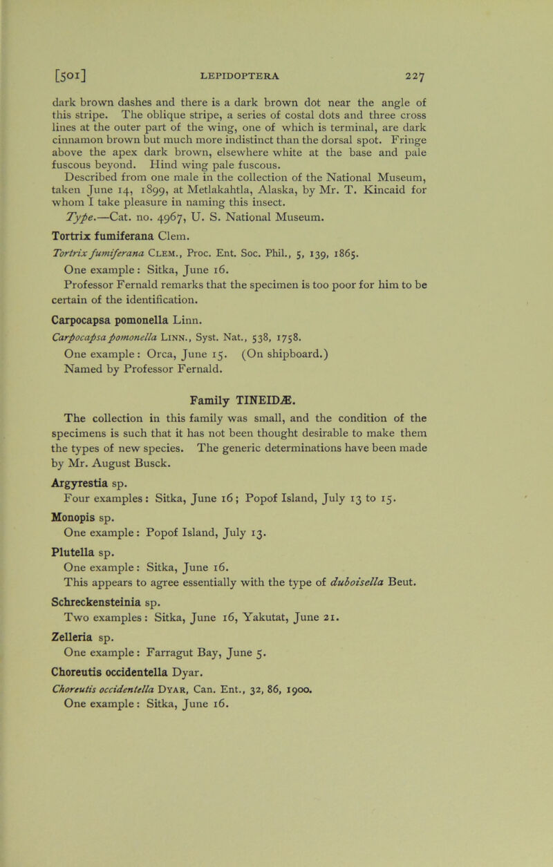 dark brown dashes and there is a dark brown dot near the angle of this stripe. The oblique stripe, a series of costal dots and three cross lines at the outer part of the wing, one of which is terminal, are dark cinnamon brown but much more indistinct than the dorsal spot. Fringe above the apex dark brown, elsewhere white at the base and pale fuscous beyond. Hind wing pale fuscous. Described from one male in the collection of the National Museum, taken June 14, 1899, at Metlakahtla, Alaska, by Mr. T. Kincaid for whom I take pleasure in naming this insect. Type.—Cat. no. 4967, U. S. National Museum. Tortrix fumiferana Clem. Tortrixfumiferana Clem., Proc. Ent. Soc. Phil., 5, 139, 1865. One example: Sitka, June 16. Professor Fernald remarks that the specimen is too poor for him to be certain of the identification. Carpocapsa pomonella Linn. Carpocapsapomonella Linn., Syst. Nat., 538, 1758. One example: Orca, June 15. (On shipboard.) Named by Professor Fernald. Family TINEID^. The collection in this family was small, and the condition of the specimens is such that it has not been thought desirable to make them the types of new species. The generic determinations have been made by Mr. August Busck. Argyrestia sp. Four examples: Sitka, June 16; Popof Island, July 13 to 15. Monopis sp. One example: Popof Island, July 13. Plutella sp. One example: Sitka, June 16. This appears to agree essentially with the type of duboisella Beut. Schreckensteinia sp. Two examples: Sitka, June 16, Yakutat, June 21. Zelleria sp. One example : Farragut Bay, June 5. Choreutis occidentella Dyar. Choreutis occidentella Dyar, Can. Ent., 32, 86, 1900. One example: Sitka, June 16.