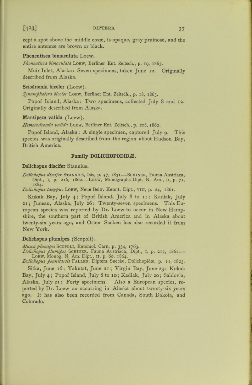 cept a spot above the middle coxae, is opaque, gray pruinose, and the entire antennae are brown or black. Phoneutisca bimaculata Loew. Phoneutisca bimaculata Loew, Berliner Ent. Zeitsch., p. 19, 1863. Muir Inlet, Alaska: Seven specimens, taken June 12. Originally described from Alaska. Sciodromia bicolor (Loew). Synamphotera bicolor Loew, Berliner Ent. Zeitsch., p. 18, 1863. Popof Island, Alaska: Two specimens, collected July 8 and 12. Originally described from Alaska. Mantipeza valida (Loew). Hemerodromia valida Loew, Berliner Ent. Zeitsch., p. 208, 1862. Popof Island, Alaska: A single specimen, captured July 9. This species was originally described from the region about Hudson Bay, British America. Family DOLICHOPODIDiE. Dolichopus discifer Stannius. Dolichopus discifer Stannius, Isis, p. 57, 1831.—Schiner, Fauna Austriaca, Dipt., I, p. 216, 1862.—Loew, Monographs Dipt. N. Am., 11, p. 71, 1864. Dolichopus tanypus Loew, Neue Beitr. Kennt. Dipt., viii, p. 24, 1861. Kukak Bay, July 4; Popof Island, July 8 to 11 ; Kadiak, July 21; Juneau, Alaska, July 26: Twenty-seven specimens. This Eu- ropean species was reported by Dr. Loew to occur in New Hamp- shire, the southern part of British America and in Alaska about twenty-six years ago, and Osten Sacken has also recorded it from New York. Dolichopus plumipes (Scopoli). Musca plumipes Scopoli, Entomol. Cam, p. 334, 1763. Dolichopus plumipes Schiner, Fauna Austriaca, Dipt., 1, p. 217, 1862.— Loew, Monog. N. Am. Dipt., 11, p. 60, 1864. Dolichopus pennitarsis Fallen, Diptera Suecise, Dolichopidae, p. 11, 1823. Sitka, June 16; Yakutat, June 21; Virgin Bay, June 23; Kukak Bay, July 4; Popof Island, July 8 to 10; Kadiak, July 20; Saldovia, Alaska, July 21 : Forty specimens. Also a European species, re- ported by Dr. Loew as occurring in Alaska about twenty-six years ago. It has also been recorded from Canada, South Dakota, and Colorado.