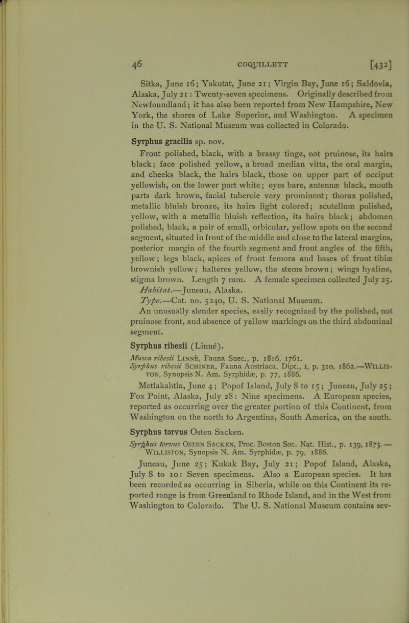 Sitka, June 16; Yakutat, June 21 ; Virgin Bay, June 16; Saldovia, Alaska, July 21 : Twenty-seven specimens. Originally described from Newfoundland; it has also been reported from New Hampshire, New York, the shores of Lake Superior, and Washington. A specimen in the U. S. National Museum was collected in Colorado. Syrphus gracilis sp. nov. Front polished, black, with a brassy tinge, not pruinose, its hairs black; face polished yellow, abroad median vitta, the oral margin, and cheeks black, the hairs black, those on upper part of occiput yellowish, on the lower part white; eyes bare, antennae black, mouth parts dark brown, facial tubercle very prominent; thorax polished, metallic bluish bronze, its hairs light colored; scutellum polished, yellow, with a metallic bluish reflection, its hairs black; abdomen polished, black, a pair of small, orbicular, yellow spots on the second segment, situated in front of the middle and close to the lateral margins, posterior margin of the fourth segment and front angles of the fifth, yellow; legs black, apices of front femora and bases of front tibiae brownish yellow; halteres yellow, the stems brown; wings hyaline, stigma brown. Length 7 mm. A female specimen collected July 25. Habitat.—Juneau, Alaska. Type.—Cat. no. 5240, U. S. National Museum. An unusually slender species, easily recognized by the polished, not pruinose front, and absence of yellow markings on the third abdominal segment. Syrphus ribesii (Linnd). Musca ribesii Linne, Fauna Suec., p. 1816, 1761. Syrphus ribesii Schiner, Fauna Austriaca, Dipt., 1, p. 310, 1862.—WlLLIS- ton, Synopsis N. Am. Syrphidae, p. 77, 1886. Metlakahtla, June 4; Popof Island, July S to 15 ; Juneau, July 25 ; Fox Point, Alaska, July 28: Nine specimens. A European species, reported as occurring over the greater portion of this Continent, from Washington on the north to Argentina, South America, on the south. Syrphus torvus Osten Sacken. Syrphus torvus Osten Sacken, Proc. Boston Soc. Nat. Hist., p. 139, 1875.— Williston, Synopsis N. Am. Syrphidm, p. 79, 1886. Juneau, June 25; Kukak Bay, July 21; Popof Island, Alaska, July 8 to 10: Seven specimens. Also a European species. It has been recorded as occurring in Siberia, while on this Continent its re- ported range is from Greenland to Rhode Island, and in the West from Washington to Colorado. The U. S. National Museum contains sev-