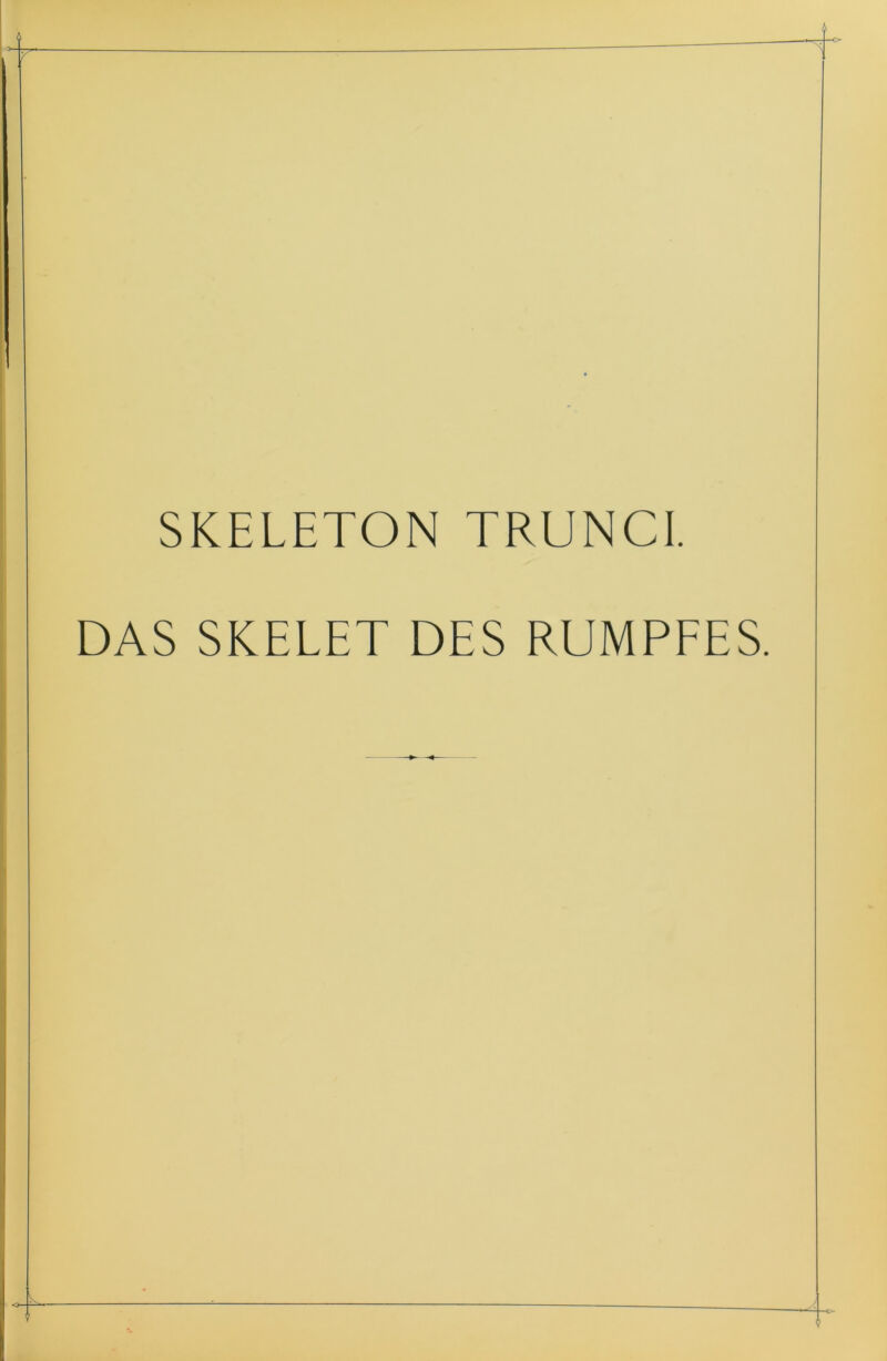 SKELETON TRUNC1. DAS SKELET DES RUMPFES.