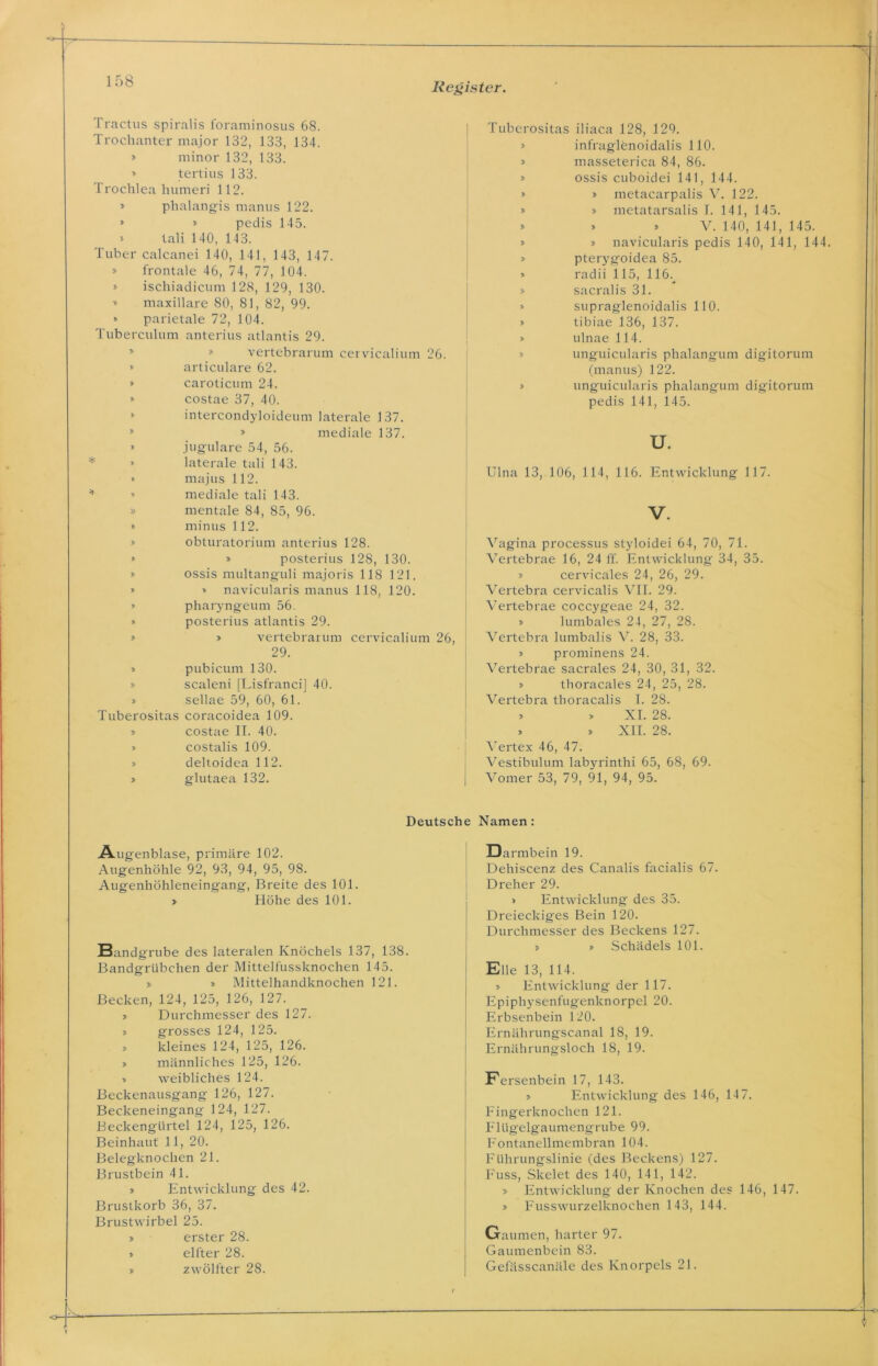 Register. Tractus spiralis foraminosus 68. Trochanter major 182, 133, 134. » minor 132, 133. » tertius 133. Trochlea humeri 112. » phalangis raanus 122. » » pedis 145. * tali 140, 143. Tuber calcanei 140, 141, 143, 147. » frontale 46, 74, 77, 104. » ischiadicum 128, 129, 130. » maxillare 80, 81, 82, 99. » parietale 72, 104. Tuberculum anterius atlantis 29. * vertebrarum cervicalium 26. » articulare 62. » caroticum 24. » costae 37, 40. * intercondyloideum laterale 137. » mediale 137. » jugulare 54, 56. * » laterale tali 143. » majus 112. ' » mediale tali 143. » mentale 84, 85, 96. » minus 112. » obturatorium anterius 128. » » posterius 128, 130. » ossis multanguli majoris 118 121. » » navicularis manus 118, 120. » pharyngeum 56. » posterius atlantis 29. » » vertebrarum cervicalium 26, 29. » pubicum 130. » scaleni [Lisfranci] 40. » sellae 59, 60, 61. Tuberositas coracoidea 109. » costae II. 40. » costalis 109. » deltoidea 112. > glutaea 132. Tuberositas iliaca 128, 129. » infraglenoidalis 110. » masseterica 84, 86. » ossis cuboidei 141, 144. » » metacarpalis V. 122. » > metatarsalis T. 141, 145. » » » V. 140, 141, 145. » » navicularis pedis 140, 141, 144. » pterygoidea 85. » ra d i i 115, 116. » sacralis 31. » supraglenoidalis 110. > tibiae 136, 137. » ulnae 114. » unguicularis phalangum digitorum (manus) 122. » unguicularis phalangum digitorum pedis 141, 145. u. Ulna 13, 106, 114, 116. Entwicklung 117. V. Vagina processus styloidei 64, 70, 71. Vertebrae 16, 24 ff. Entwicklung 34, 35. » cervicales 24, 26, 29. Vertebra cervicalis VII. 29. Vertebrae coccygeae 24, 32. » lumbales 24, 27, 28. Vertebra lumbalis V. 28, 33. » prominens 24. Vertebrae sacrales 24, 30, 31, 32. » thoracales 24, 25, 28. Vertebra thoracalis I. 28. > » XI. 28. » » XII. 28. Vertex 46, 47. Vestibulum labyrinthi 65, 68, 69. I Vomer 53, 79, 91, 94, 95. Deutsche Namen: Augenblase, primäre 102. Augenhöhle 92, 93, 94, 95, 98. Augenhöhleneingang, Breite des 101. » Höhe des 101. Bandgrube des lateralen Knöchels 137, 138. Bandgrübchen der Mittelfussknochen 145. » » Mittelhandknochen 121. Becken, 124, 125, 126, 127. » Durchmesser des 127. » grosses 124, 125. » kleines 124, 125, 126. » männliches 125, 126. •* weibliches 124. Beckenausgang 126, 127. Beckeneingang 124, 127. Beckengürtel 124, 125, 126. Beinhaut 11, 20. Belegknochen 21. Brustbein 41. » Entwicklung des 42. Brustkorb 36, 37. Brustwirbel 25. > erster 28. » elfter 28. » zwölfter 28. Darmbein 19. Dehiscenz des Canalis facialis 67. Dreher 29. > Entwicklung des 35. Dreieckiges Bein 120. Durchmesser des Beckens 127. j> » Schädels 101. Elle 13, 114. » Entwicklung der 117. Epiphysenfugenknorpel 20. Erbsenbein 120. Ernährungscanal 18, 19. Ernährungsloch 18, 19. Fersenbein 17, 143. » Entwicklung des 146, 147. Fingerknochen 121. Flügelgaumengrube 99. Fontanellmembran 104. Führungslinie (des Beckens) 127. Fuss, Skelet des 140, 141, 142. 3- Entwicklung der Knochen des 146, 147. » Fusswurzelknochen 143, 144. Gaumen, harter 97. Gaumenbein 83. Gefässcanäle des Knorpels 21.
