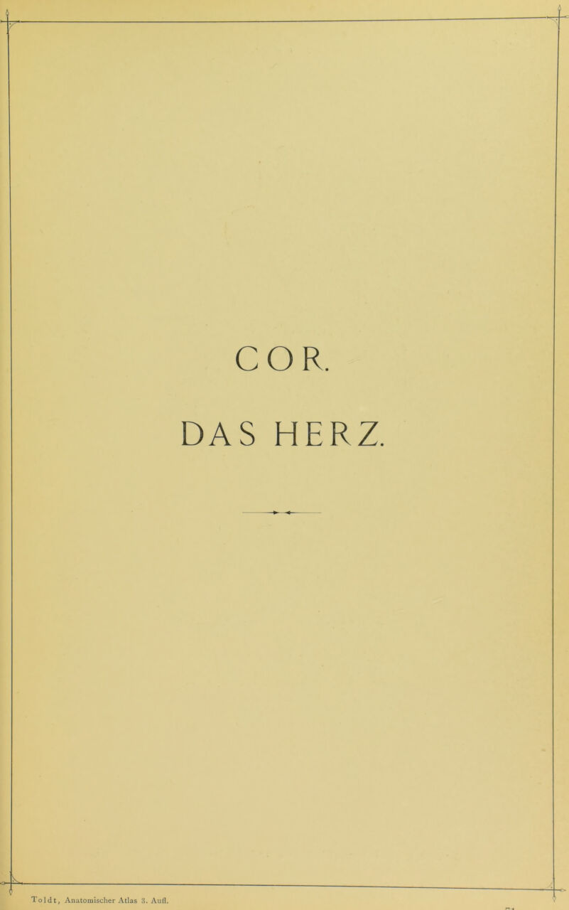 COR. DAS HERZ. O- Toldt, Anatomischer Atlas 3. Aufl.