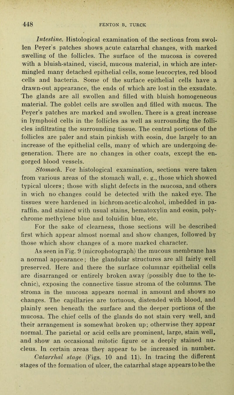 Intestine. Histological examination of the sections from swol- len Peyer's patches shows acute catarrhal changes, with marked swelling of the follicles. The surface of the mucosa is covered with a bluish-stained, viscid, mucous material, in which are inter- mingled many detached épithélial cells, some leucocytes, red blood cells and bacteria. Some of the surface épithélial cells hâve a drawn-out appearance, the ends of which are lost in the exsudate. The glands are ail swollen and filled with bluish homogeneous material. The goblet cells are swollen and filled with mucus. The Peyer’s patches are marked and swollen. There is a great increase in lymphoid cells in the follicles as well as surrounding the folli- cles infiltrating the surrounding tissue. The central portions of the follicles are paler and stain pinkish with eosin, due largely to an increase of the épithélial cells, many of which are undergoing de- generation. There are no changes in other coats, except the en- gorged blood vessels. Stomach. For histological examination, sections were taken from various areas of the stomach wall, e. g., those which showed typical ulcers ; those with slight defects in the mucosa, and others in wich no changes could be detected with the naked eye. The tissues were hardened in bichrom-acetic-alcohol, imbedded in pa- raffin, and stained with usual stains, hematoxylin and eosin, poly- chrome methylene blue and toluidin blue, etc. For the sake of clearness, those sections will be described first which appear almost normal and show changes, followed by those which show changes of a more marked character. As seen in Fig. 9 (microphotograph) the mucous membrane has a normal appearance ; the glandular structures are ail fairly well preserved. Here and there the surface columnar épithélial cells are disarranged or entirely broken away (possibly due to the te- ■chnic), exposing the connective tissue stroma of the columns. The stroma in the mucosa appears normal in amount and shows no changes. The capillaries are tortuous, distended with blood, and plainly seen beneath the surface and the deeper portions of the mucosa. The cliief cells of the glands do not stain very well, and their arrangement is somewhat broken up; otherwise they appear normal. The pariétal or acid cells are prominent, large, stain well, and show an occasional mitotic figure or a deeply stained nu- cléus. In certain areas they appear to be increased in number. Catarrhal stage (Figs. 10 and 11). In tracing the different stages of the formation of ulcer, the catarrhal stage appears tobe the