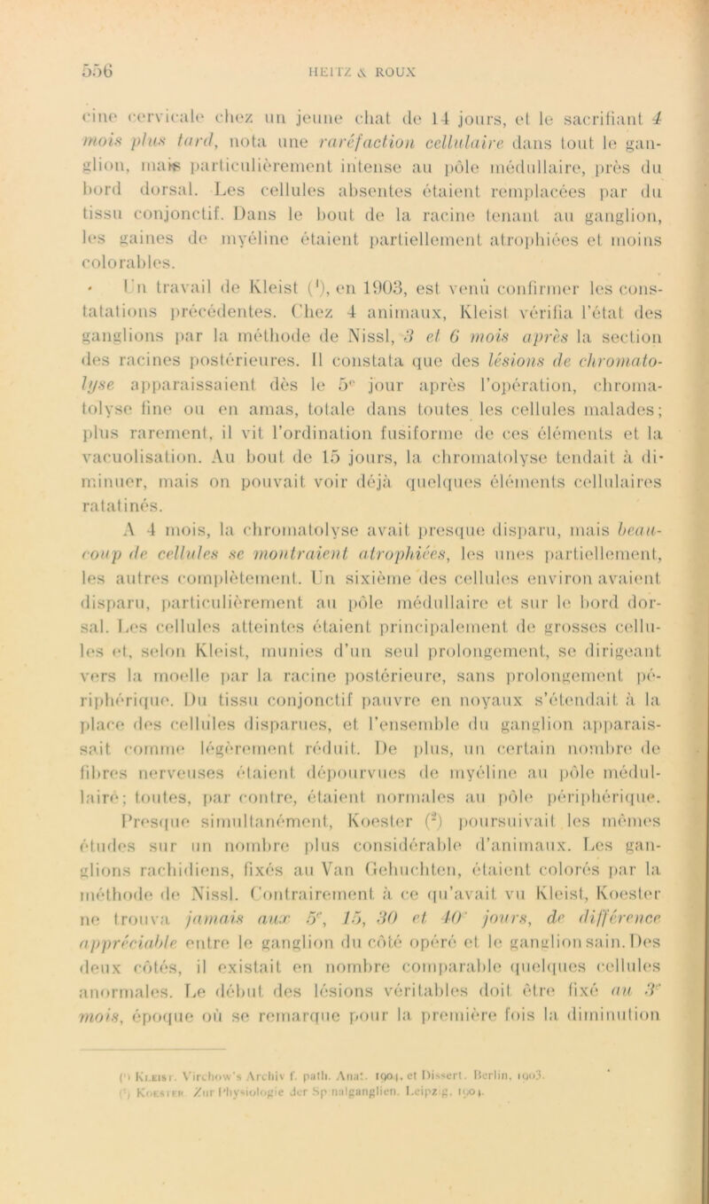 5ô6 IIEITZ ^ ROUX (‘lue cervic-ale cliuz un jeune chat de 14 jours, el le sacriliant 4 moi.^ plus tard, nota une raréfaction cellalaire dans tout le gan- glion, inaiï' parliculièremenl intense au pôle médullaire, près du hord dorsal. Les cellules absentes étaient remplacées par dn tissu conjonctif. Dans le bout de la racine tenant au ganglion, les gaines de myéline étaient partiellement atro])hiées et moins colorai) les. * Ln travail de Kleist ('), en 1903, est venii coidirmer les cons- tatations ])récédentes. ('liez 4 animaux, Kleist vérifia l’état des ganglions par la métbotle de Nissl, d et G moü apres la section des racines postérieures. Il constata que des lésions de chromato- hjse apparaissaient dès le 5^' jour après roi)ération, cbroma- tolyse fine ou en amas, totale dans toutes les cellules malades; plus rarement, il vit l’ordination fusiforme de ces éléments et la vacuolisation. Au bout de 15 jours, la chromatolyse tendait à di- minuer, mais on pouvait voir déjà quelqu(‘S éléments cellulaires ratatinés. A 4 mois, la chromatolyse avait pres(pie disi)aru, mais heaii- coap de cellides se montraient atrophiées^ les unes partiellement, les autres complèteimud. Un sixième Vies cellub^s environ avaient disparu, particulièrement au pôle médullain' et sur le bord doi‘- sal. lies cellules atteintes étaient principalement de grosses cellu- les et, selon Kbdst, munies d’un seul prolongement, se dirigeant vers la !no(‘lle ]>ar la racine ])ostérieure, sans prolongement pé- ri{)béri((ue. Du tissu conjonctif pauvre en noyaux s’étendait à la. I)lace des cellules disparues, et l’ensemble du ganglion apparais- sait comme légèrement réduit. De plus, un certain nombre de fil)res nerveuses étaient dépourvin^s de myéline au pôle médul- laire; toutes, par coidre, étaient nortnales au pôb‘ i)éri])béri(pie. F*res<pie sitnultanément, Koester (‘) j)Oursuivait les ménu's études sur un noml)re plus considérable d’animaux, fies gan- glions rachidiens, fixés au Van t.îeliucditen, étaient colorés par la. méthode d(* Nissl. Contrairement à ce qu’avait vu Kleist, Koester ne trouva jamais aux rf, IG, dO et 40’ jours, de différence appréciahie entre le ganglion du côté opéré et le ganglion sain. Des deux côtés, il existait en nombre com])arable ((uebpies cellules anormales. T^e début des lésions véritables doit être fixé au .T mois, époque où se remarque pour la. première fois la. diminution C> Kr.Eisi. Virchow’s Archiv f. patli. Anat. ipoj.et Disscrl. l’.erlin, iqo3. Koesieh Ziir Miysiolof,'ie dcr Sp nalganglieii. l.eipz g. i(.op