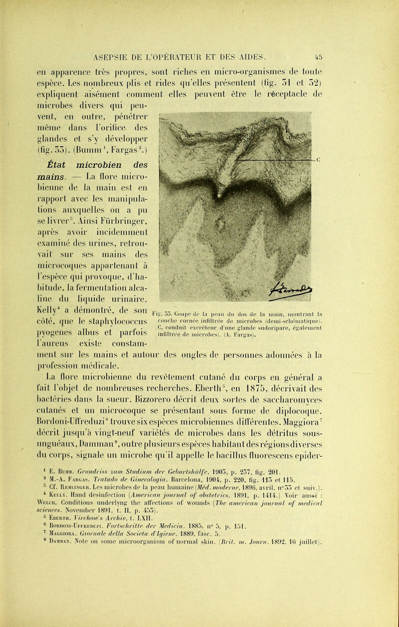 en apparence très propres, sont riches en micro-organismes de tonte espèce. Les nombreux plis et rides qu’elles présentent (lig. 51 et 52) expliquent aisément comment elles peuvent être le réceptacle de microbes divers qui peu- vent, en outre, pénétrer même dans l’orifice des glandes et s’y développer (fig. 55). (Bumm1, Fargas2.) État microbien des mains. — La flore micro- bienne de la main est en rapport avec les manipula- tions auxquelles on a pu se livrer3. Ainsi Fürbringer, après avoir incidemment examiné des urines, retrou- vait sur ses mains des microcoques appartenant à l’espèce qui provoque, d’ha- bitude, la fermentation alca- line du liquide urinaire. Kelly4 a démontré, de son côté, que le staphylococcus pyogenes albus et parfois l’aureus existe constam- ment sur les mains et autour des ongles de personnes adonnées profession médicale. La flore microbienne du revêtement cutané du corps en général a fait l’objet de nombreuses recherches. Eberth3, en 1875, décrivait des bactéries dans la sueur. Bizzorero décrit deux sortes de saccharomyces cutanés et un microcoque se présentant sous forme de diplocoque. Bordoni-Utfreduzi0 trouve six espèces microbiennes différentes. Maggiora7 décrit jusqu’à vingt-neuf variétés de microbes dans les détritus sous- unguéaux, Damman8, outre plusieurs espèces habitant des régions diverses du corps, signale un microbe qu’il appelle le bacillus fluorescens epider- Fig. 53. Coupe de la peau du dos de la main, montrant la couche cornée infiltrée de microbes (demi-scliématique). C, conduit excréteur d'une glande sudoripare, également infiltrée de microbes). (A. fargas). a la 1 E. Bumm. Grundriss zum Studium der Geburtshiilfe, 1903, p. 237, fig. 201. - M.-A. Fargas. Tratado de Ginecologia. Barcelona, 1904, p. 220, fig. 113 et 115. 3 Cf. Remuxgek. Les microbes de la peau humaine (Irted. moderne, 1896, avril. n°33 et suiv.). 4 Kelly. Hand désinfection (American journal of obstetrics, 1891, p. 1414.) Voir aussi : Welcii, Conditions underlyng the affections of wounds [The american journal of medical sciences. November 1891. t. II, p. 455). 5 Eberth. Virchow’s Archiv, t. LXII. 6 Bordoni-Uffredu/i. Fortschritte der Medicin. 1885, n 5, p. 151. 7 Maggioiu. Giornale délia Societa d'Igiene. 1889. fasc. 5. 8 Damman. Note on sonie microorganisin of normal skin. [liril. ni. Jour». 1892, 16 juillet).