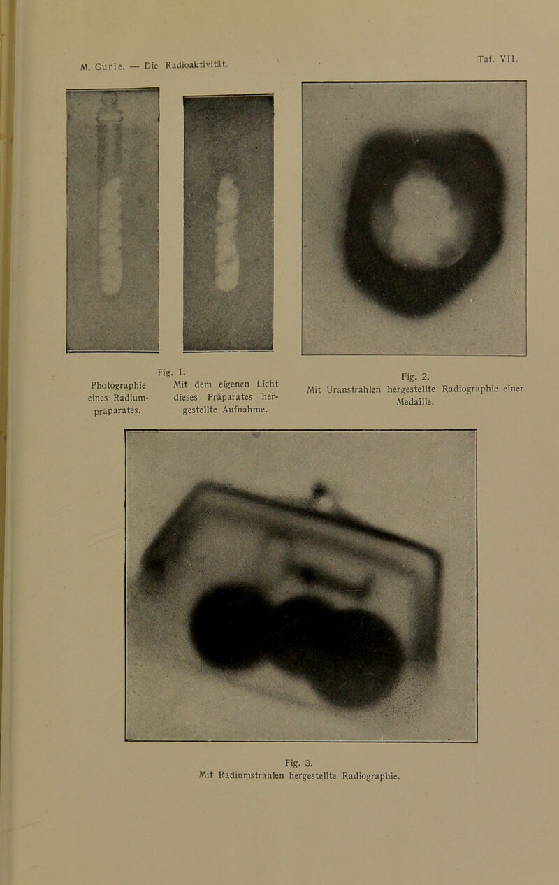 M. Curie. — Die Radioaktivität. Fig. 1. Photographie Mit dem eigenen Licht eines Radium- dieses Präparates her- präparates. gestellte Aufnahme. Taf. VII. Fig. 2. Mit Uranstrahlen hergestellte Radiographie einer Medaille. Fig. 3. Mit Radiumstrahlen hergestellte Radiographie.