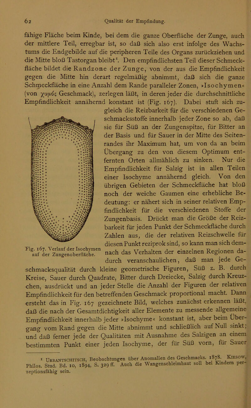 fähige Fläche beim Kinde, bei dem die ganze Oberfläche der Zunge, auch der mittlere Teil, erregbar ist, so daß sich also erst infolge des Wachs- tums die Endgebilde auf die peripheren Teile des Organs zurückziehen und die Mitte bloß Tastorgan bleibt1. Den empfindlichsten Teil dieser Schmeck- fläche bildet die Randzone der Zunge, von der aus die Empfindlichkeit gegen die Mitte hin derart regelmäßig abnimmt, daß sich die ganze Schmeckfläche in eine Anzahl dem Rande paralleler Zonen, »Isochymen« (von yufid; Geschmack), zerlegen läßt, in deren jeder die durchschnittliche Empfindlichkeit annähernd konstant ist (Fig. 167). Dabei stuft sich zu- gleich die Reizbarkeit für die verschiedenen Ge- schmacksstoffe innerhalb jeder Zone so ab, daß sie für Süß an der Zungenspitze, für Bitter an der Basis und für Sauer in der Mitte des Seiten- randes ihr Maximum hat, um von da an beim Übergang zu den von diesem Optimum ent- fernten Orten allmählich zu sinken. Nur die Empfindlichkeit für Salzig ist in allen Teilen einer Isochyme annähernd gleich. Von den übrigen Gebieten der Schmeckfläche hat bloß noch der weiche Gaumen eine erhebliche Be- deutung: er nähert sich in seiner relativen Emp- findlichkeit für die verschiedenen Stoffe der Zungenbasis. Drückt man die Größe der Reiz- barkeit für jeden Punkt der Schmeckfläche durch Zahlen aus, die der relativen Reizschwelle für diesen Punkt reziprok sind, so kann man sich dem- ach das Verhalten der einzelnen Regionen da- durch veranschaulichen, daß man jede Ge- schmacksqualität durch kleine geometrische Figuren, Süß z. B. durch Kreise, Sauer durch Quadrate, Bitter durch Dreiecke, Salzig durch Kreuz- chen, ausdrückt und an jeder Stelle die Anzahl der Figuren der relativen Empfindlichkeit für den betreffenden Geschmack proportional macht. Dann ersteht das in Fig. 167 gezeichnete Bild, welches zunächst erkennen läßt, daß die nach der Gesamtdichtigkeit aller Elemente zu messende allgemeine Empfindlichkeit innerhalb jeder »Isochyme« konstant ist, aber beim Über- gang vom Rand gegen die Mitte abnimmt und schließlich auf Null sinkt, und daß ferner jede der Qualitäten mit Ausnahme des Salzigen an einem bestimmten Punkt einer jeden Isochyme, der für Süß vorn, für Sauer 1 Urbantschitsch, Beobachtungen über Anomalien des Geschmacks. 1878. Kiesow , Philos. Stud. Bd. 10, 1894, S. 329 fr. Auch die Wangenschleimhaut soll bei Kindern per- •zeptionsfähig sein.