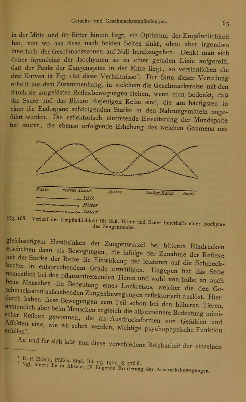 in der Mitte und für Bitter hinten liegt, ein Optimum der Empfindlichkeit hat, von wo aus diese nach beiden Seiten sinkt, ohne aber irgendwo innerhalb der Geschmackszonen auf Null herabzugehen. Denkt man sich daher irgendeine der Isochymen so zu einer geraden Linie aufgerollt, daß der Punkt der Zungenspitze in der Mitte liegt, so versinnlichen die drei Kurven in Fig. 168 diese Verhältnisse1. Der Sinn dieser Verteilung erhellt aus dem Zusammenhang, in welchem die Geschmacksreize mit den durch sie ausgelösten Reflexbewegungen stehen, wenn man bedenkt, daß das Saure und das Bittere diejenigen Reize sind, die am häufigsten in einer die Endorgane schädigenden Stärke in den Nahrungsmitteln zuge- führt werden. Die reflektorisch eintretende Erweiterung der Mundspalte bei sauren, die ebenso erfolgende Erhebung des weichen Gaumens mit -Basis rechter Barut — Sli/s —o □- Bitter -o—c- Sauer Spztze linker Band. Basis F>g. .68. Verlauf der Empfiudliehke^fe SM, Bitter und Sau„ in„rhall) d„r «s!ttagXnnH7bfk“ der ZunS“'™zd b« bi‘teren Eindrücken mtrrd“ als Bewegungen, die infolge der Zunahme der Reflexe becher intern d,‘EmwirkuaS der ‘Steren auf die Schmeck- tsprechendem Grade ermäßigen. Dagegen hat das Süße brtt^ed^rtessenden Tieren und wohi ™n frühe » nuslös^Hier- Mekten ein“ für sich läßt nun diese verschiedene Reizbarkeit der einzelnen 2 v',P',?ÄNIG’ Ph!los- Stud. Bd. 17 iqoi q Vgl. h,e«u di« i„ Abschn, IV folgte &ärt«m»g dar Auadru.kabeweguugeu.