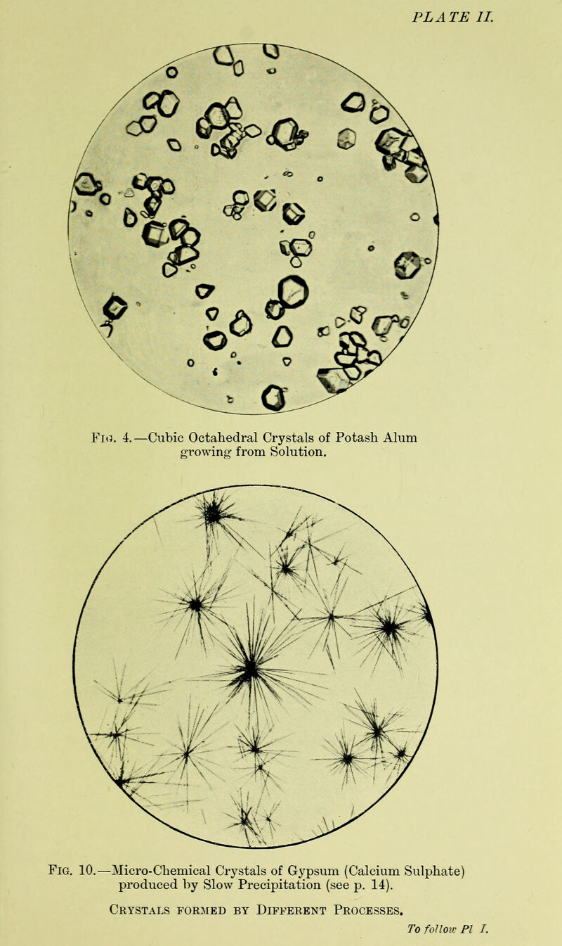 Fio. 4. —Cubic Octahedral Crystals of Potash Alum growing- from Solution. Fig. 10.—Micro-Chemical Crystals of Gypsum (Calcium Sulphate) produced by Slow Precipitation (see p. 14). Crystals formed by Different Processes. To foUoic PI I.