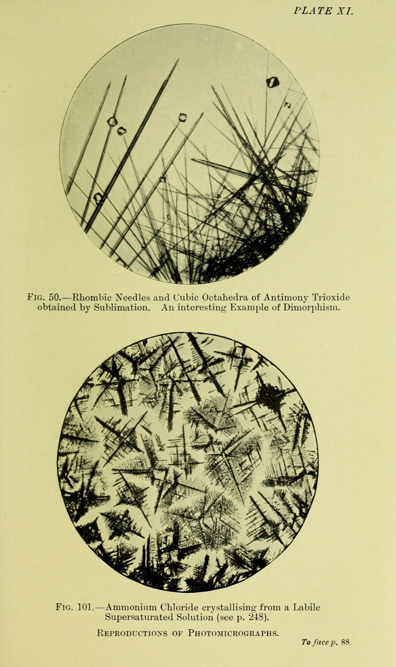Fig. 101.—Ammonium Chloride crystallising- from a Labile Supersaturated Solution (see p. 248). Reproductions of Photo.aiicrographs. To facep. 88.