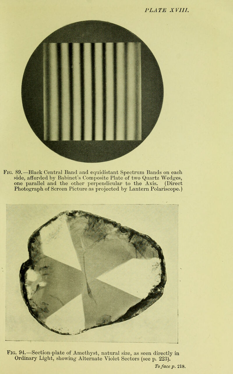 PLATE XVIII. Fig. 89.—Black Central Band and equidistant Spectrum Bands on each side, afforded by Babinet’s Composite Plate of two Quartz Wedges, one parallel and the other perpendicular to the Axis. (Direct Photograph of Screen Picture as projected by Lantern Polariscope.) Fig. 94.—Section-plate of Amethyst, natural size, as seen directly in Ordinary Light, showing Alternate Violet Sectors (see p. 223).