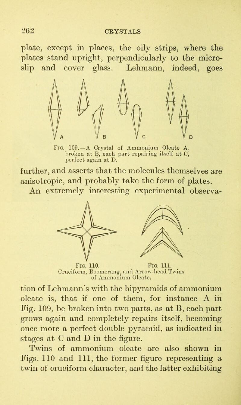 plate, except in places, the oily strips, where the plates stand upright, perpendicularly to the micro- slip and cover glass. Lehmann, indeed, goes Fig. 109.—A Crystal of Ammonium Oleate A, broken at B, each part repairing itself at C, perfect again at D. further, and asserts that the molecules themselves are anisotropic, and probably take the form of plates. An extremely interesting experimental observa- Fig. 111. Cruciform, Boomerang, and Arrow-head Twins of Ammonium Oleate. tion of Lehmann’s with the bipyramids of ammonium oleate is, that if one of them, for instance A in Fig. 109, be broken into two parts, as at B, each part grows again and completely repairs itself, becoming once more a perfect double pyramid, as indicated in stages at C and D in the figure. Twins of ammonium oleate are also shown in Figs. 110 and 111, the former figure representing a twin of cruciform character, and the latter exhibiting