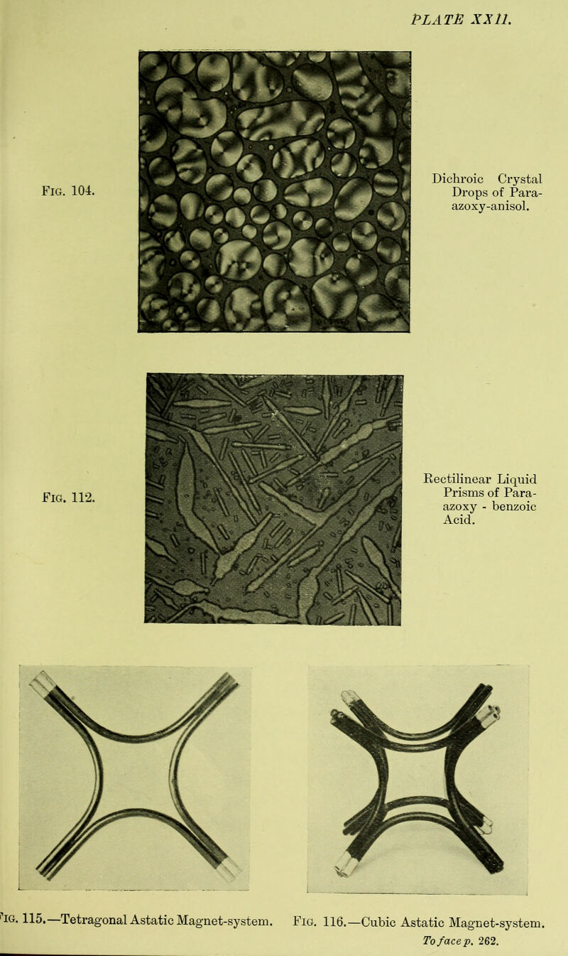 PLATE XX11. Fig. 104. Dicliroic Crystal Drops of Para- azoxy-anisol. 'IG. 115. Tetragonal Astatic Magnet-system. Fig. 116.—Cubic Astatic Magnet-system.