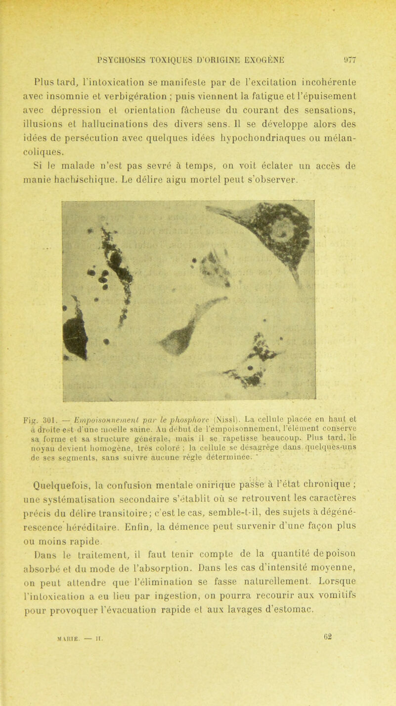 Plus tard, l'intoxication se manifesle par de l’excilalion incoherent avec insomnio et verbigeration ; puis viennent la fatigue et l’epuisement avec depression eL orientation facheuse du courant des sensations, illusions et hallucinations des divers sens. 11 se developpe alors des idees de persecution avec quelques idees hypochondriaques ou melan- coliques. Si le malade n’est pas sevre & temps, on voit eclater un acces de manie hachischique. Le delire aigu mortel peut s’observer. Fig. 391. — Empoiaonneinenl par le pkosphore (Nissl). La cellule placee en haut et a druite e-t dune nioelle saine. Au debut de l'enipoisonnenient, l'element conserve sa forme et sa structure generate, niais il se rapetisse beaucoup. Plus tard, le noyau devient homogene, tres colore : la cellule se desagrege dans quelques-uns de ses segments, sans suivre aucune regie determiuee. Quelquefois, la confusion mentale onirique passe a l’etat chronique ; une systematisation secondaire s’etablit oil se retrouvent les caracteres precis du delire transitoire; c est le cas, semble-l-il, des sujets a degene- rescence liereditaire. Enfin, la demence peut survenir d’une fa?on plus ou rnoins rapide. Pans le Lraitemenl, il faul tenir compte de la quantile de poison absorbe et du mode de l’absorption. Dans les cas d’inlensite moyenne, on peut altendre que l’elimination se fasse naturellement. Lorsque l’intoxication a eu lieu par ingestion, on pourra recourir aux vomitifs pour provoquer l’evacuation rapide et aux lavages d’estomac. M VIIIE. II. 02
