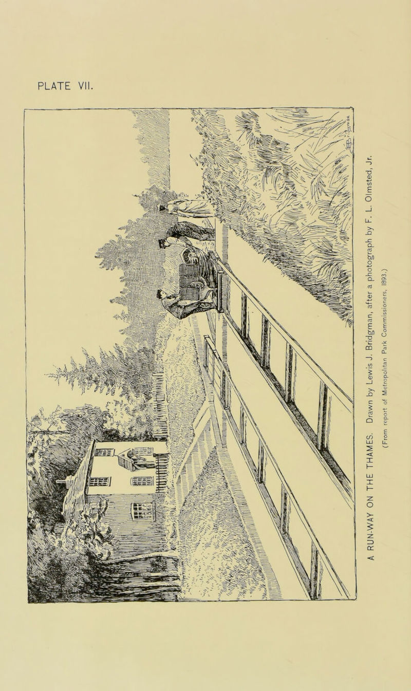 A RUN-WAY ON THE THAMES. Drawn by Lewis J. Bridgman, after a photograph by F. L. Olmsted, Jr. (From report of Metropolitan Park Commissioners, 1893.)