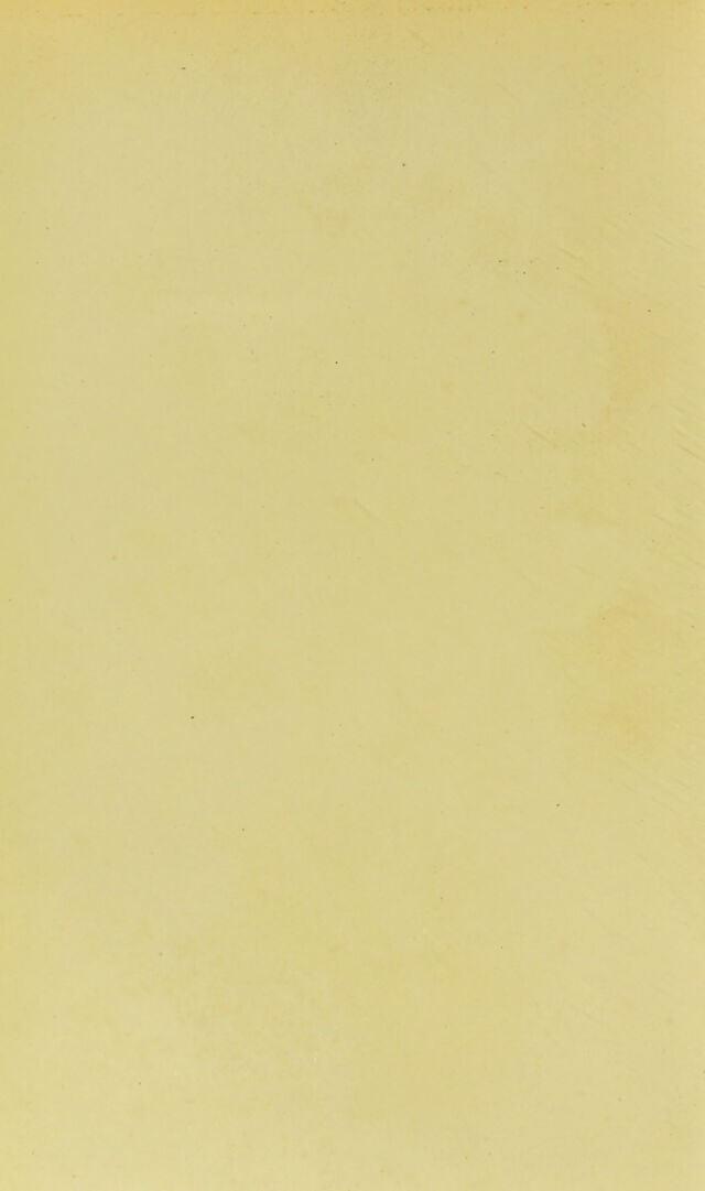 digitised image 2