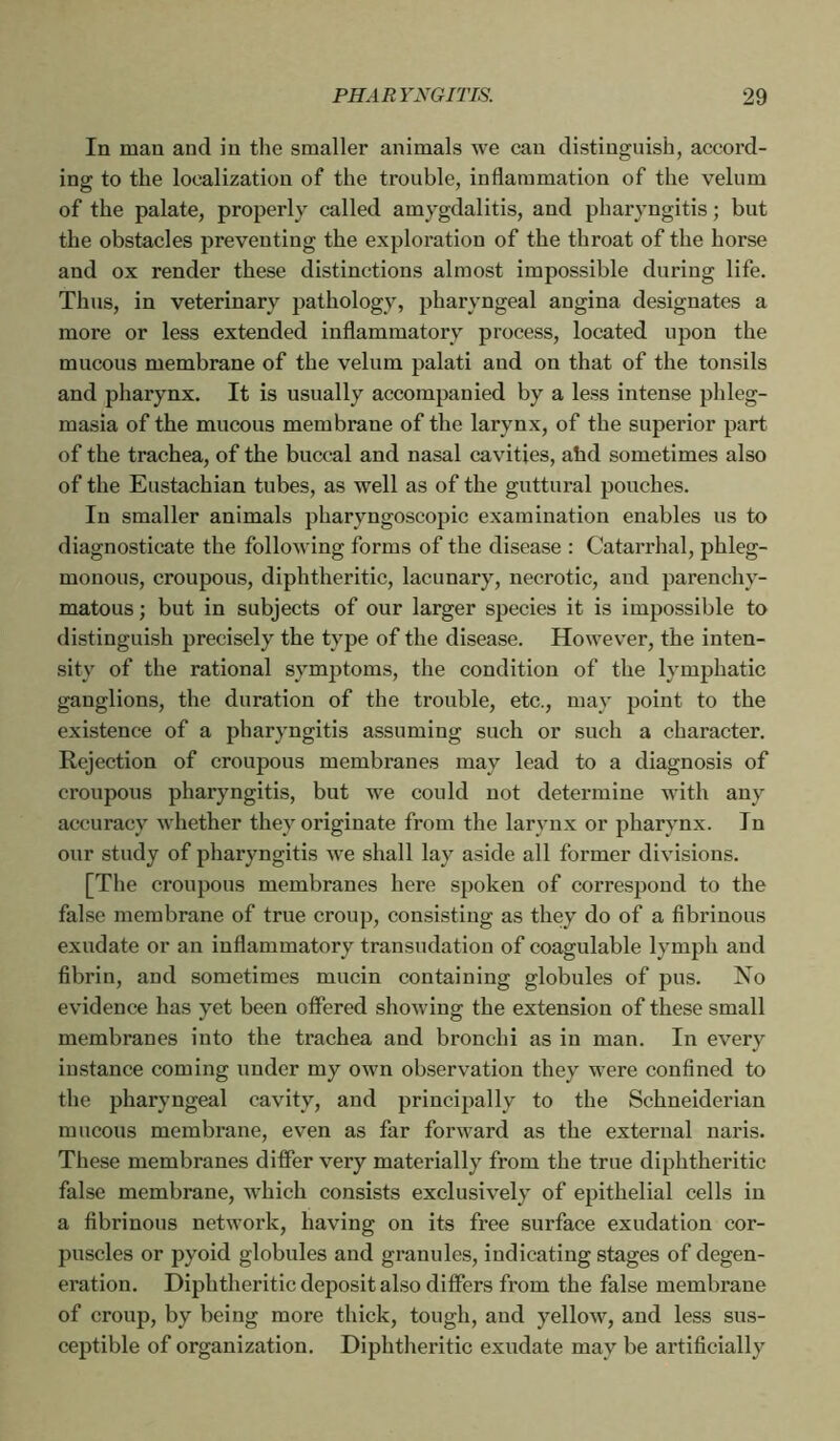 In man and in the smaller animals we can distinguish, accord- ing to the localization of the trouble, inflammation of the velum of the palate, properly called amygdalitis, and pharyngitis ; but the obstacles preventing the exploration of the throat of the horse and ox render these distinctions almost impossible during life. Thus, in veterinary pathology, pharyngeal angina designates a more or less extended inflammatory process, located upon the mucous membrane of the velum palati and on that of the tonsils and pharynx. It is usually accompanied by a less intense phleg- masia of the mucous membrane of the larynx, of the superior part of the trachea, of the buccal and nasal cavities, ahd sometimes also of the Eustachian tubes, as well as of the guttural pouches. In smaller animals pharyngoscopic examination enables us to diagnosticate the following forms of the disease : Catarrhal, phleg- monous, croupous, diphtheritic, lacunary, necrotic, and parenchy- matous ; but in subjects of our larger species it is impossible to distinguish precisely the type of the disease. However, the inten- sity of the rational symptoms, the condition of the lymphatic ganglions, the duration of the trouble, etc., may point to the existence of a pharyngitis assuming such or such a character. Rejection of croupous membranes may lead to a diagnosis of croupous pharyngitis, but we could not determine with any accuracy whether they originate from the larynx or pharynx. In our study of pharyngitis we shall lay aside all former divisions. [The croupous membranes here spoken of correspond to the false membrane of true croup, consisting as they do of a fibrinous exudate or an inflammatory transudation of coagulable lymph and fibrin, and sometimes mucin containing globules of pus. No evidence has yet been offered showing the extension of these small membranes into the trachea and bronchi as in man. In every instance coming under my own observation they were confined to the pharyngeal cavity, and principally to the Schneiderian raucous membrane, even as far forward as the external naris. These membranes differ very materially from the true diphtheritic false membrane, which consists exclusively of epithelial cells in a fibrinous network, having on its free surface exudation cor- puscles or pyoid globules and granules, indicating stages of degen- eration. Diphtheritic deposit also differs from the false membrane of croup, by being more thick, tough, and yellow, and less sus- ceptible of organization. Diphtheritic exudate may be artificially