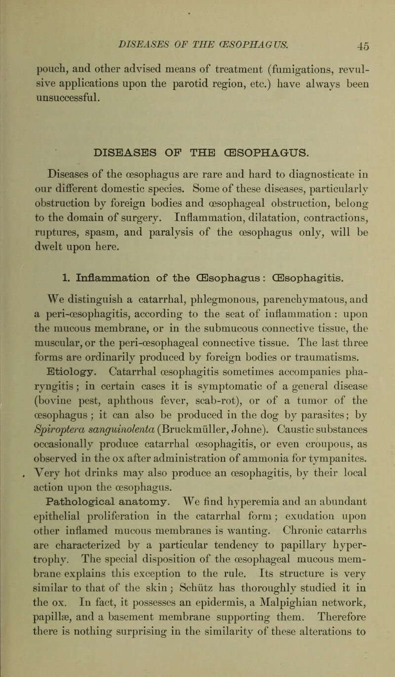 pouch, and othei' advised means of treatment (fumigations, revul- sive applications upon the parotid region, etc.) have always been unsuccessful. DISEASES OP THE CESOPHAGUS. Diseases of the oesophagus are rare and hard to diagnosticate in our different domestic species. Some of these diseases, particularly obstruction by foreign bodies and oesophageal obstruction, belong to the domain of surgery. Inflammation, dilatation, contractions, rujDtures, spasm, and paralysis of the oesophagus only, will be dwelt upon here. 1. Inflammation of the Œsophagus : Œsophagitis. We distinguish a catarrhal, phlegmonous, 2)arenchymatous, and a peri-oesophagitis, according to the seat of inflammation : upon the mucous membrane, or in the submucous connective tissue, the muscular, or the peri-œsophageal connective tissue. The last three forms are ordinarily produced by foreign bodies or traumatisms. Etiology. Catarrhal oesophagitis sometimes accompanies pha- ryngitis ; in certain cases it is symptomatic of a general disease (bovine pest, aphthous fever, scab-rot), or of a tumor of the oesophagus ; it can also be produced in the dog by parasites ; by Spiroptem sanguinolenta (Bruckmüller, Johne). Caustic substances occasionally produce catarrhal oesophagitis, or even croupous, as observed in the ox after administration of ammonia for tympanites. . Very hot drinks may also produce an oesophagitis, by their local action upon the oesophagus. Pathological anatomy. We find hyperemia and an abundant epithelial proliferation in the catarrhal form ; exudation upon other inflamed mucous membranes is wanting. Chronic catarrhs are characterized by a particular tendency to papillary hyper- trophy. The special disposition of the oesophageal mucous mem- brane explains this exception to the rule. Its structure is very similar to that of the skin ; Schütz has thoroughly studied it in tlie ox. In fact, it possesses an epidermis, a Malpighian network, papillæ, and a basement membrane supporting them. Therefore there is nothing surprising in the similarity of these alterations to