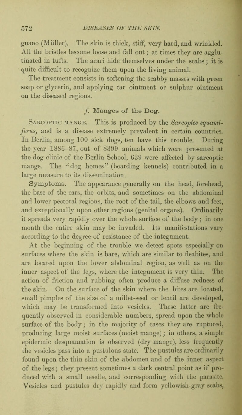 guano (Müller). The skin is thick, stiff, very hard, and wrinkled. All the bristles become loose and fall out ; at times they are agglu- tinated in tufts. The acari hide themselves under the scabs ; it is quite difficult to recognize them upon the living animal. The treatment consists in softening the scabby masses with green soap or glyceriu, and applying tar ointment or sulphur ointment on the diseased regions. /. Manges of the Dog. Sarcoptic maxge. This is produced by the Sarcoptes squami- ferus, and is a disease extremely prevalent in certain conntries. In Berlin, among 100 sick dogs, ten have this trouble. During the year 1886-87, out of 8399 animals which wei’e presented at the dog clinic of the Berlin School, 639 were affected by sarcoptic mange. The “dog homes” (boarding kennels) contributed in a large measure to its dissemination. Symptoms. The appearance generally on the head, forehead, the base of the ears, the orbits, aud sometimes on the abdominal and lower pectoral regions, the root of the tail, the elbows and feet, and exceptioually upon other regions (genital organs). Ordinarily it spreads very rapidly over the whole surface of the body ; in one month the entire skin may be invaded. Its manifestations vary according to the degree of resistance of the integument. At the beginning of the trouble we detect spots especially on surfaces where the skin is bare, which are similar to fleabites, aud are located upon the lower abdominal region, as well as on the inner aspect of the legs, where the integument is very thin. The action of friction aud rubbing often produce a diffuse redness of the skin. On the surface of the skin where the bites are located, small pimples of the size of a millet-seed or lentil are developed, which may be transformed into vesicles. These latter are fre- quently observed in considerable numbers, spi’ead upon the whole surface of the body ; in the majority of cases they are ruptured, producing large moist surfaces (moist mange) ; in others, a simple epidermic desquamation is observed (dry mange), less frequently the vesicles pass into a pustulous state. The pustules are ordinarily found upon the thin skin of the abdomen and of the inner aspect of the legs ; they present sometimes a dark central point as if pro- duced with a small needle, aud corresponding with the parasite. Vesicles aud pustules dry rapidly and form yellowish-gray scabs.