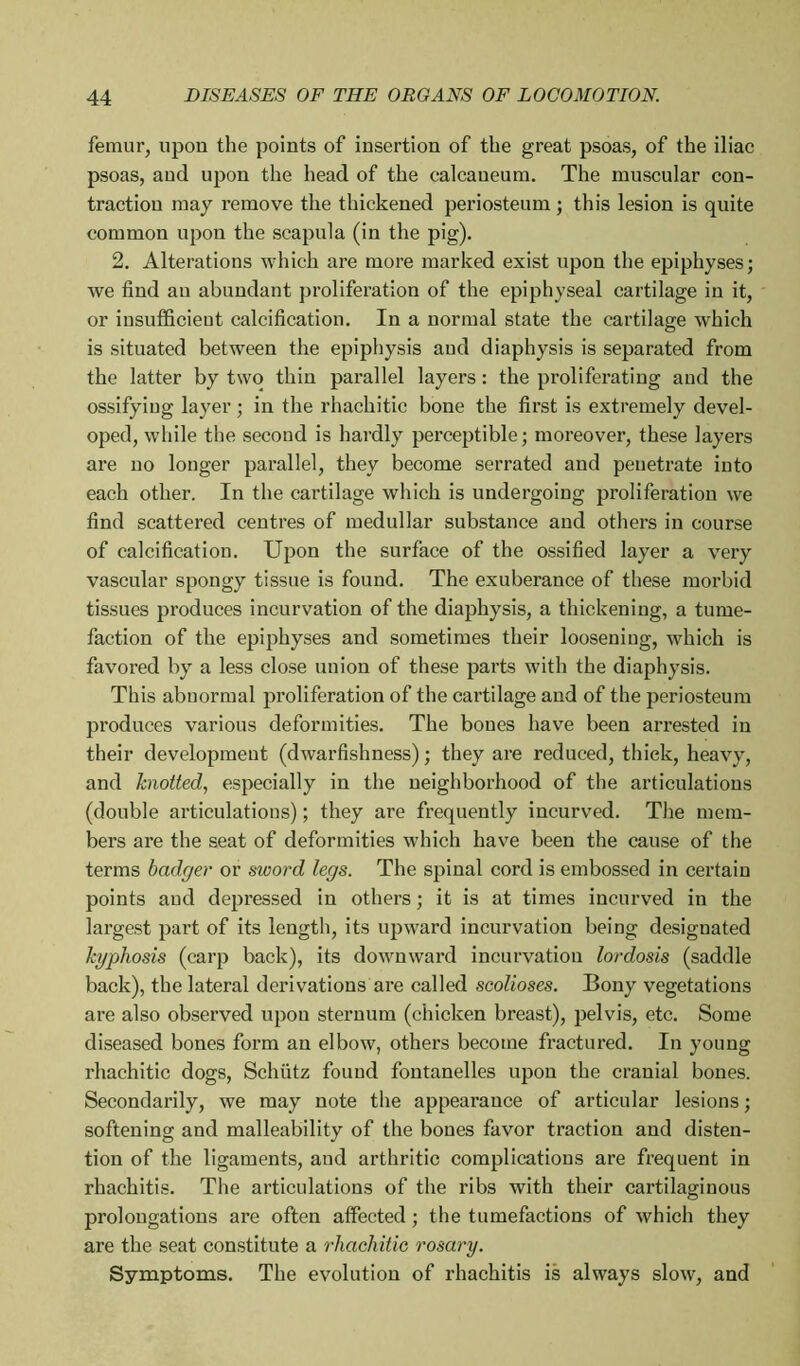 femur, upon the points of insertion of the great psoas, of the iliac psoas, and upon the head of the calcanéum. The muscular con- traction may remove the thickened periosteum ; this lesion is quite common upon the scapula (in the pig). 2. Alterations which are more marked exist upon the epiphyses; we find an abundant proliferation of the epiphyseal cartilage in it, or insufficient calcification. In a normal state the cartilage which is situated between the epiphysis and diaphysis is separated from the latter by two thin parallel layers : the proliferating and the ossifying layer ; in the rhachitic bone the first is extremely devel- oped, while the second is hardly perceptible; moreover, these layers are no longer parallel, they become serrated and penetrate into each other. In the cartilage which is undergoing proliferation we find scattered centres of medullar substance and others in course of calcification. Upon the surface of the ossified layer a very vascular spongy tissue is found. The exuberance of these morbid tissues produces incurvation of the diaphysis, a thickening, a tume- faction of the epiphyses and sometimes their loosening, which is favored by a less close union of these parts with the diaphysis. This abnormal proliferation of the cartilage and of the periosteum produces various deformities. The bones have been arrested in their development (dwarfishness) ; they are reduced, thick, heavy, and knotted, especially in the neighborhood of the articulations (double articulations) ; they are frequently incurved. The mem- bers are the seat of deformities which have been the cause of the terms badger or sword legs. The spinal cord is embossed in certain points and depressed in others ; it is at times incurved in the largest part of its length, its upward incurvation being designated kyphosis (carp back), its downward incurvation lordosis (saddle back), the lateral derivations are called scolioses. Bony vegetations are also observed upou sternum (chicken breast), pelvis, etc. Some diseased bones form an elbow, others become fractured. In young rhachitic dogs, Schütz found fontanelles upon the cranial bones. Secondarily, we may note the appearance of articular lesions ; softening and malleability of the bones favor traction and disten- tion of the ligaments, and arthritic complications are frequent in rhachitis. The articulations of the ribs with their cartilaginous prolongations are often affected ; the tumefactions of which they are the seat constitute a rhachitic rosary. Symptoms. The evolution of rhachitis is always slow, and