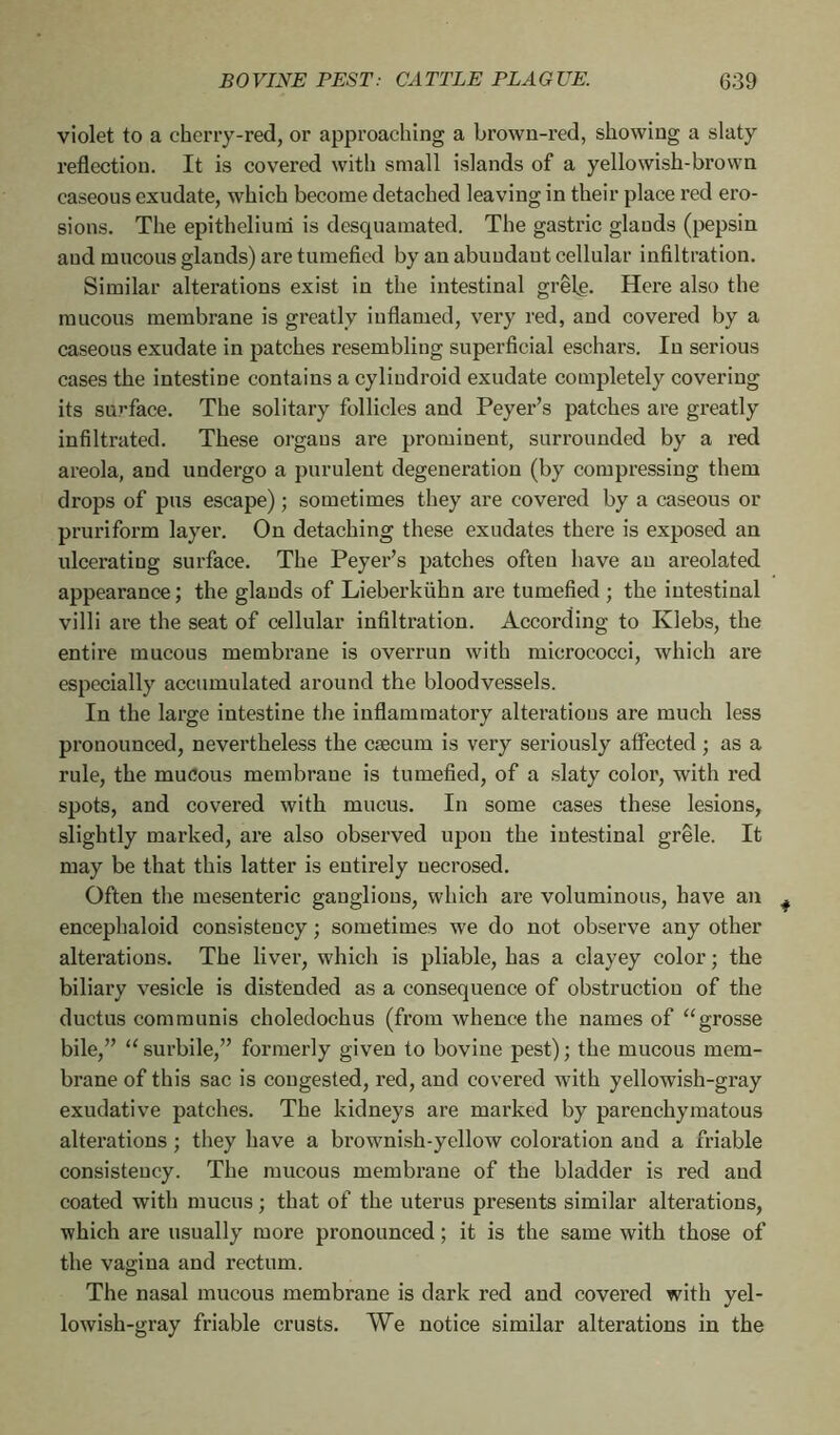violet to a cherry-red, or approaching a brown-red, showing a slaty reflection. It is covered with small islands of a yellowish-brown caseous exudate, which become detached leaving in their place red ero- sions. The epithelium is desquamated. The gastric glauds (pepsin and mucous glands) are tumefied by an abundaut cellular infiltration. Similar alterations exist in the intestinal grêle. Here also the mucous membrane is greatly inflamed, very red, and covered by a caseous exudate in patches resembling superficial eschars. In serious cases the intestine contains a cyliudroid exudate completely covering its surface. The solitary follicles and Peyer’s patches are greatly infiltrated. These organs are prominent, surrounded by a red areola, and undergo a purulent degeneration (by compressing them drops of pus escape) ; sometimes they are covered by a caseous or pruriform layer. On detaching these exudates there is exposed an ulcerating surface. The Peyer’s patches often have an areolated appearance ; the glands of Lieberkiihn are tumefied ; the intestinal villi are the seat of cellular infiltration. According to Klebs, the entire mucous membrane is overrun with micrococci, which are especially accumulated around the bloodvessels. In the large intestine the inflammatory alterations are much less pronounced, nevertheless the cæcum is very seriously affected ; as a rule, the mucous membraue is tumefied, of a slaty color, with red spots, and covered with mucus. In some cases these lesions, slightly marked, are also observed upon the intestinal grêle. It may be that this latter is entirely necrosed. Often the mesenteric ganglions, which are voluminous, have an encephaloid consistency ; sometimes we do not observe any other alterations. The liver, which is pliable, has a clayey color ; the biliary vesicle is distended as a consequence of obstruction of the ductus communis eholedochus (from whence the names of “grosse bile,” “ surbile,” formerly given to bovine pest) ; the mucous mem- brane of this sac is congested, red, and covered with yellowish-gray exudative patches. The kidneys are marked by parenchymatous alterations ; they have a brownish-yellow coloration and a friable consistency. The mucous membrane of the bladder is red and coated with mucus ; that of the uterus presents similar alterations, which are usually more pronounced ; it is the same with those of the vagina and rectum. The nasal mucous membrane is dark red and covered with yel- lowish-gray friable crusts. We notice similar alterations in the