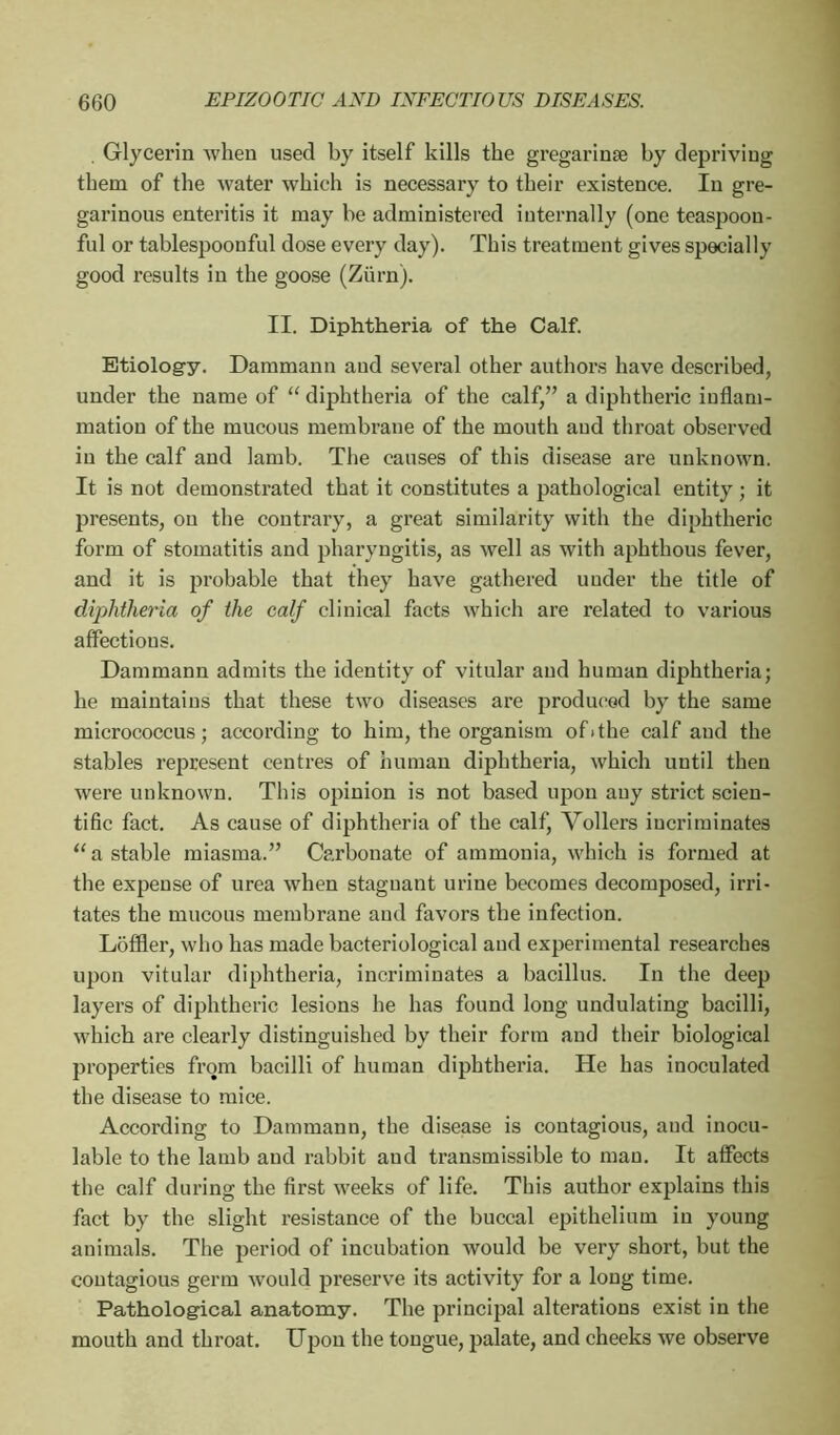 . Glycerin when used by itself kills the gregarinæ by depriving them of the water which is necessary to their existence. In gre- garinous enteritis it may be administered internally (one teaspoou- ful or tablespoonful dose every day). This treatment gives specially good results in the goose (Ziirn). II. Diphtheria of the Calf. Etiology. Dammann aud several other authors have described, under the name of “ diphtheria of the calf,” a diphtheric inflam- mation of the mucous membrane of the mouth aud throat observed in the calf and lamb. The causes of this disease are unknown. It is not demonstrated that it constitutes a pathological entity ; it presents, on the contrary, a great similarity with the diphtheric form of stomatitis and pharyngitis, as well as with aphthous fever, and it is probable that they have gathered under the title of diphtheria of the calf clinical facts which are related to various affectious. Dammann admits the identity of vitular aud human diphtheria; he maintains that these two diseases are produced by the same micrococcus; according to him, the organism of>the calf aud the stables represent centres of human diphtheria, which until then were unknown. This opinion is not based upon any strict scien- tific fact. As cause of diphtheria of the calf, Vollers incriminates “ a stable miasma.” Carbonate of ammonia, which is formed at the expense of urea when stagnant urine becomes decomposed, irri- tates the mucous membrane and favors the infection. Loffler, who has made bacteriological and experimental researches upon vitular diphtheria, incriminates a bacillus. In the deep layers of diphtheric lesions he has found long undulating bacilli, which are clearly distinguished by their form aud their biological properties from bacilli of human diphtheria. He has inoculated the disease to mice. According to Dammann, the disease is contagious, and inocu- lable to the lamb and rabbit aud transmissible to man. It affects the calf during the first weeks of life. This author explains this fact by the slight resistance of the buccal epithelium in young animals. The period of incubation would be very short, but the contagious germ would preserve its activity for a long time. Pathological anatomy. The principal alterations exist in the mouth and throat. Upon the tongue, palate, and cheeks we observe