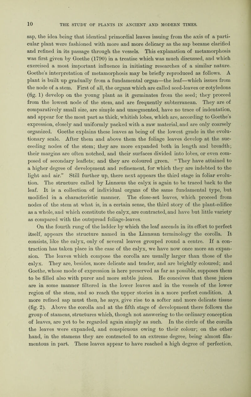 sap, the idea being that identical primordial leaves issuing from the axis of a parti- cular plant were fashioned with more and more delicacy as the sap became clarified and refined in its passage through the vessels. This explanation of metamorphosis was first given by Goethe (1790) in a treatise which was much discussed, and which exercised a most important influence in initiating researches of a similar nature. Goethe’s interpretation of metamorphosis may be briefly reproduced as follows. A plant is built up gradually from a fundamental organ—the leaf—which issues from the node of a stem. First of all, the organs which are called seed-leaves or cotyledons (tig. 1) develop on the young plant as it germinates from the seed; they proceed from the lowest node of the stem, and are frequently subterranean. They are of comparatively small size, are simple and unsegmented, have no trace of indentation, and appear for the most part as thick, whitish lobes, which are, according to Goethe’s expression, closely and uniformly packed with a raw material, and are only coarsely organized. Goethe explains these leaves as being of the lowest grade in the evolu- tionary scale. After them and above them the foliage leaves develop at the suc- ceeding nodes of the stem; they are more expanded both in length and breadth; their margins are often notched, and their surfaces divided into lobes, or even com- posed of secondary leaflets; and they are coloured green. “They have attained to a higher degree of development and refinement, for which they are indebted to the light and air.” Still further up, there next appears the third stage in foliar evolu- tion. The structure called by Linn8eus the calyx is again to be traced back to the leaf. It is a collection of individual organs of the same fundamental type, but modified in a characteristic manner. The close-set leaves, which pi'oceed from nodes of the stem at what is, in a certain sense, the third story of the plant-edifice as a whole, and which constitute the calyx, are contracted, and have but little variety as compared with the outspread foliage-leaves. On the fourth rung of the ladder by which the leaf ascends in its effort to perfect itself, appears the structure named in the Linnaean terminology the corolla. It consists, like the calyx, only of several leaves grouped round a centre. If a con- traction has taken place in the case of the calyx, we have now once more an expan- sion. The leaves which compose the corolla are usually larger than those of the calyx. They are, besides, more delicate and tender, and are brightly coloured; and Goethe, whose mode of expression is here preserved as far as possible, supposes them to be filled also with purer and more subtle juices. He conceives that these juices are in some manner filtered in the lower leaves and in the vessels of the lower region of the stem, and so reach the upper stories in a more perfect condition. A more refined sap must then, he says, give rise to a softer and more delicate tissue (fig. 2). Above the corolla and at the fifth stage of development there follows the group of stamens, structures which, though not answering to the ordinary conception of leaves, are yet to be regarded again simply as such. In the circle of the corolla the leaves were expanded, and conspicuous owing to their colour; on the other hand, in the stamens they are contracted to an extreme degree, being almost fila- mentous in part. These leaves appear to have reached a high degree of perfection,