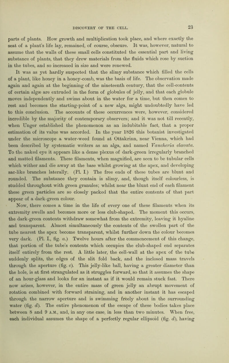 parts of plants. How growth and multiplication took place, and where exactly the seat of a plant’s life lay, remained, of course, obscure. It was, however, natural to assume that the walls of these small cells constituted the essential part and living substance of plants, that they drew materials from the fluids which rose by suction in the tubes, and so increased in size and were renewed. It was as yet hardly suspected that the slimy substance which filled the cells of a plant, like honey in a honey-comb, was the basis of life. The observation made again and again at the beginning of the nineteenth century, that the cell-contents of certain algae are extruded in the form of globules of jelly, and that each globule moves independently and swims about in the water for a time, but then comes to rest and becomes the starting-point of a new alga, might undoubtedly have led to this conclusion. The accounts of these occurrences were, however, considered incredible by the majority of contemporary observers; and it was not till recently, when Unger established the phenomenon as an indubitable fact, that a proper estimation of its value was accorded. In the year 1826 this botanist investigated under the microscope a water-weed found at Ottakrinn, near Vienna, which had been described by systematic writers as an alga, and named Vaucheria clavata. To the naked eye it appears like a dense plexus of dark-green irregularly branched and matted filaments. These filaments, when magnified, are seen to be tubular cells which wither and die away at the base whilst growing at the apex, and developing sac-like branches laterally. (PI. I.) The free ends of these tubes are blunt and rounded. The substance they contain is slimy, and, though itself colourless, is studded throughout with green granules; whilst near the blunt end of each filament these green particles are so closely packed that the entire contents of that part appear of a dark-green colour. Now, there comes a time in the life of every one of these filaments when its extremity swells and becomes more or less club-shaped. The moment this occurs, the dark-green contents withdraw somewhat from the extremity, leaving it hyaline and transparent. Almost simultaneously the contents of the swollen part of the tube nearest the apex become transparent, whilst further down the colour becomes very dark. (PL I., fig. a.) Twelve hours after the commencement of this change, that portion of the tube’s contents which occupies the club-shaped end separates itself entirely from the rest. A little later, the cell-wall at the apex of the tube suddenly splits, the edges of the slit fold back, and the inclosed mass travels through the aperture (fig. c). This jelly-like ball, having a greater diameter than the hole, is at first strangulated as it struggles forward, so that it assumes the shape of an hour-glass and looks for an instant as if it would remain stuck fast. There now arises, however, in the entire mass of green jelly an abrupt movement of rotation combined with forward straining, and in another instant it has escaped through the narrow aperture and is swimming freely about in the surrounding water (fig. d). The entire phenomenon of the escape of these bodies takes place between 8 and 9 A.M., and, in any one case, in less than two minutes. When free, each individual assumes the shape of a perfectly regular ellipsoid (fig. d), having