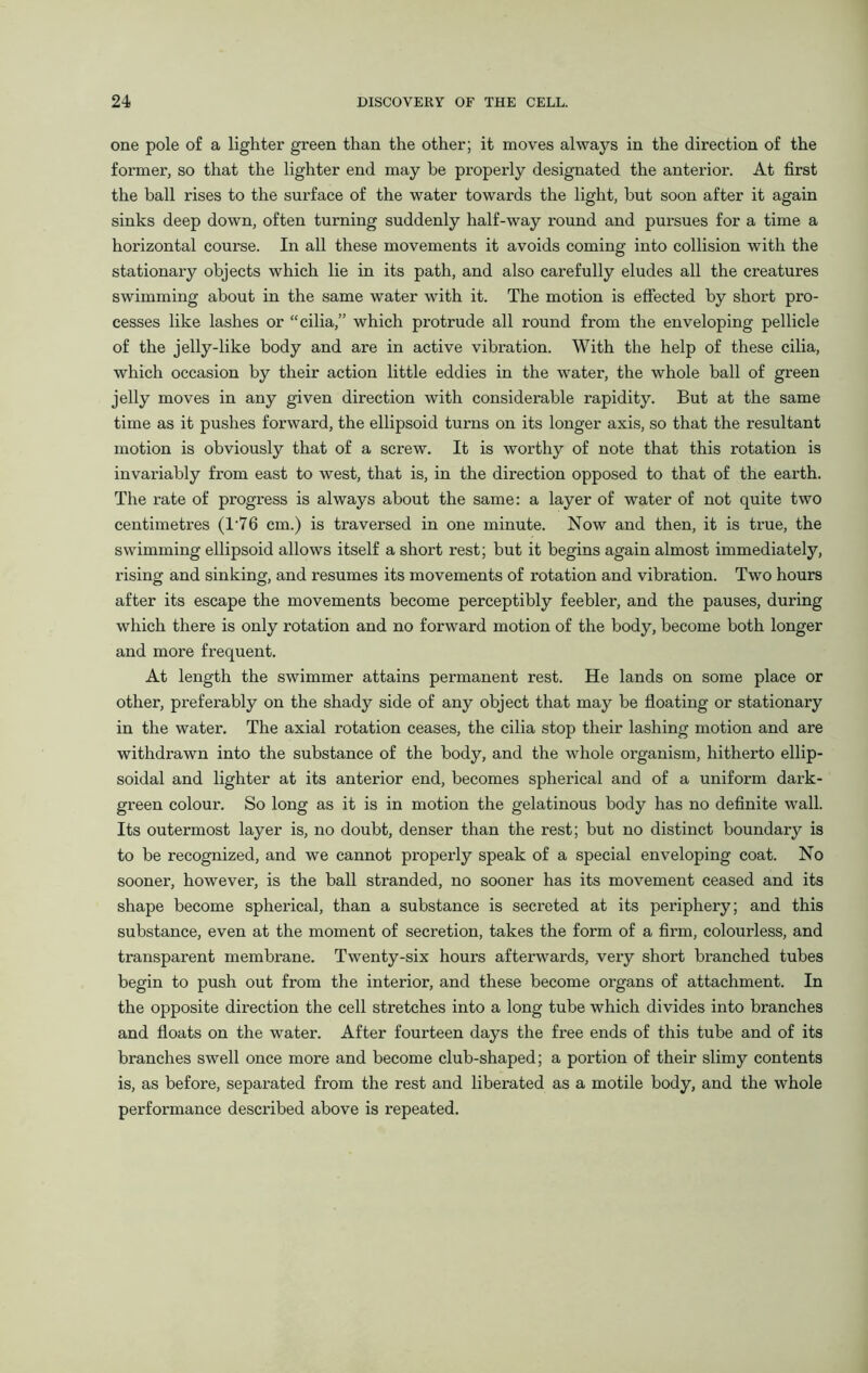 one pole of a lighter green than the other; it moves always in the direction of the former, so that the lighter end may be properly designated the anterior. At first the ball rises to the surface of the water towards the light, hut soon after it again sinks deep down, often turning suddenly half-way round and pursues for a time a horizontal course. In all these movements it avoids coming into collision with the stationary objects which lie in its path, and also carefully eludes all the creatures swimming about in the same water with it. The motion is effected by short pro- cesses like lashes or “cilia,” which protrude all round from the enveloping pellicle of the jelly-like body and are in active vibration. With the help of these cilia, which occasion by their action little eddies in the water, the whole ball of green jelly moves in any given direction with considerable rapidity. But at the same time as it pushes forward, the ellipsoid turns on its longer axis, so that the resultant motion is obviously that of a screw. It is worthy of note that this rotation is invariably from east to west, that is, in the direction opposed to that of the earth. The rate of progress is always about the same: a layer of water of not quite two centimetres (l-76 cm.) is traversed in one minute. Now and then, it is true, the swimming ellipsoid allows itself a short rest; but it begins again almost immediately, rising and sinking, and resumes its movements of rotation and vibration. Two hours after its escape the movements become perceptibly feebler, and the pauses, during which there is only rotation and no forward motion of the body, become both longer and more frequent. At length the swimmer attains permanent rest. He lands on some place or other, preferably on the shady side of any object that may be floating or stationary in the water. The axial rotation ceases, the cilia stop their lashing motion and are withdrawn into the substance of the body, and the whole organism, hitherto ellip- soidal and lighter at its anterior end, becomes spherical and of a uniform dark- green colour. So long as it is in motion the gelatinous body has no definite wall. Its outermost layer is, no doubt, denser than the rest; but no distinct boundary is to be recognized, and we cannot pi’operly speak of a special enveloping coat. No sooner, however, is the ball stranded, no sooner has its movement ceased and its shape become spherical, than a substance is secreted at its periphery; and this substance, even at the moment of secretion, takes the form of a firm, colourless, and transparent membrane. Twenty-six hours afterwards, very short branched tubes begin to push out from the interior, and these become organs of attachment. In the opposite direction the cell stretches into a long tube which divides into branches and floats on the water. After fourteen days the free ends of this tube and of its branches swell once more and become club-shaped; a portion of their slimy contents is, as before, separated from the rest and liberated as a motile body, and the whole performance described above is repeated.