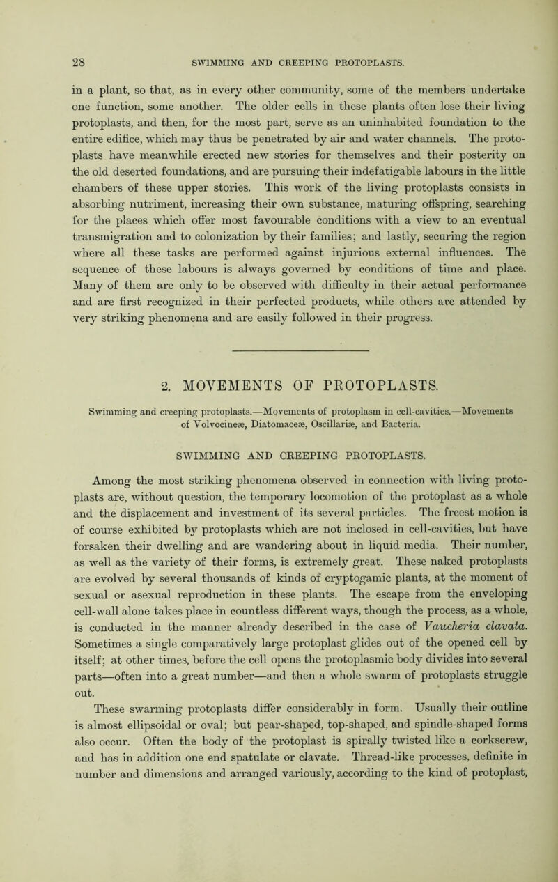 in a plant, so that, as in every other community, some of the members undertake one function, some another. The older cells in these plants often lose their living protoplasts, and then, for the most part, serve as an uninhabited foundation to the entire edifice, which may thus be penetrated by air and water channels. The proto- plasts have meanwhile erected new stories for themselves and their posterity on the old deserted foundations, and are pursuing their indefatigable labours in the little chambers of these upper stories. This work of the living protoplasts consists in absorbing nutriment, increasing their own substance, maturing offspring, searching for the places which offer most favourable conditions with a view to an eventual transmigration and to colonization by their families; and lastly, securing the region where all these tasks are performed against injurious external influences. The sequence of these labours is always governed by conditions of time and place. Many of them are only to be observed with difficulty in their actual performance and are first recognized in their perfected products, while others are attended by very striking phenomena and are easily followed in their progress. 2. MOVEMENTS OF PROTOPLASTS. Swimming and creeping protoplasts.—Movements of protoplasm in cell-cavities.—Movements of Yolvocineae, Diatomaceae, Oscillariae, and Bacteria. SWIMMING AND CREEPING PROTOPLASTS. Among the most striking phenomena observed in connection with living proto- plasts are, without question, the temporary locomotion of the protoplast as a whole and the displacement and investment of its several particles. The freest motion is of course exhibited by protoplasts which are not inclosed in cell-cavities, but have forsaken their dwelling and are wandering about in liquid media. Their number, as well as the variety of their forms, is extremely great. These naked protoplasts are evolved by several thousands of kinds of cryptogamic plants, at the moment of sexual or asexual reproduction in these plants. The escape from the enveloping cell-wall alone takes place in countless different ways, though the process, as a whole, is conducted in the manner already described in the case of Vaucheria clavata. Sometimes a single comparatively large protoplast glides out of the opened cell by itself; at other times, before the cell opens the protoplasmic body divides into several parts—often into a great number—and then a whole swarm of protoplasts struggle out. These swarming protoplasts differ considerably in form. Usually their outline is almost ellipsoidal or oval; but pear-shaped, top-shaped, and spindle-shaped forms also occur. Often the body of the protoplast is spirally twisted like a corkscrew, and has in addition one end spatulate or clavate. Thread-like processes, definite in number and dimensions and arranged variously, according to the kind of protoplast,