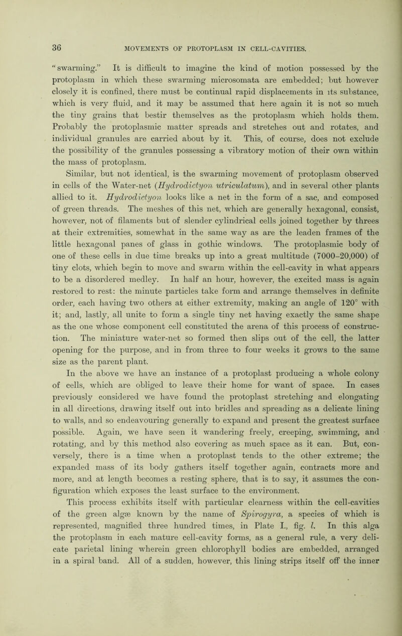 “swarming” It is difficult to imagine the kind of motion possessed by the protoplasm in which these swarming microsomata are embedded; but however closely it is confined, there must be continual rapid displacements in its substance, which is very fluid, and it may be assumed that here again it is not so much the tiny grains that bestir themselves as the protoplasm which holds them. Probably the protoplasmic matter spreads and stretches out and rotates, and individual granules are carried about by it. This, of course, does not exclude the possibility of the granules possessing a vibratory motion of their own within the mass of protoplasm. Similar, but not identical, is the swarming movement of protoplasm observed in cells of the Water-net (Hydrodictyon utriculatum), and in several other plants allied to it. Hydrodictyon looks like a net in the form of a sac, and composed of green threads. The meshes of this net, which are generally hexagonal, consist, however, not of filaments but of slender cylindrical cells joined together by threes at their extremities, somewhat in the same way as are the leaden frames of the little hexagonal panes of glass in gothic windows. The protoplasmic body of one of these cells in due time breaks up into a great multitude (7000-20,000) of tiny clots, which begin to move and swarm within the cell-cavity in what appears to be a disordered medley. In half an hour, however, the excited mass is again restored to rest: the minute particles take form and arrange themselves in definite order, each having two others at either extremity, making an angle of 120° with it; and, lastly, all unite to form a single tiny net having exactly the same shape as the one whose component cell constituted the arena of this process of construc- tion. The miniature water-net so formed then slips out of the cell, the latter opening for the purpose, and in from three to four weeks it grows to the same size as the parent plant. In the above we have an instance of a protoplast producing a whole colony of cells, which are obliged to leave their home for want of space. In cases previously considered we have found the protoplast stretching and elongating in all directions, drawing itself out into bridles and spreading as a delicate lining to walls, and so endeavouring generally to expand and present the greatest surface possible. Again, we have seen it wandering freely, creeping, swimming, and rotating, and by this method also covering as much space as it can. But, con- versely, there is a time when a protoplast tends to the other extreme; the expanded mass of its body gathers itself together again, contracts more and more, and at length becomes a resting sphere, that is to say, it assumes the con- figuration which exposes the least surface to the environment. This process exhibits itself with particular clearness within the cell-cavities of the green algae known by the name of Spirogyra, a species of which is represented, magnified three hundred times, in Plate I., fig. 1. In this alga the protoplasm in each mature cell-cavity forms, as a general rule, a very deli- cate parietal lining wherein green chlorophyll bodies are embedded, arranged in a spiral band. All of a sudden, however, this lining strips itself off the inner