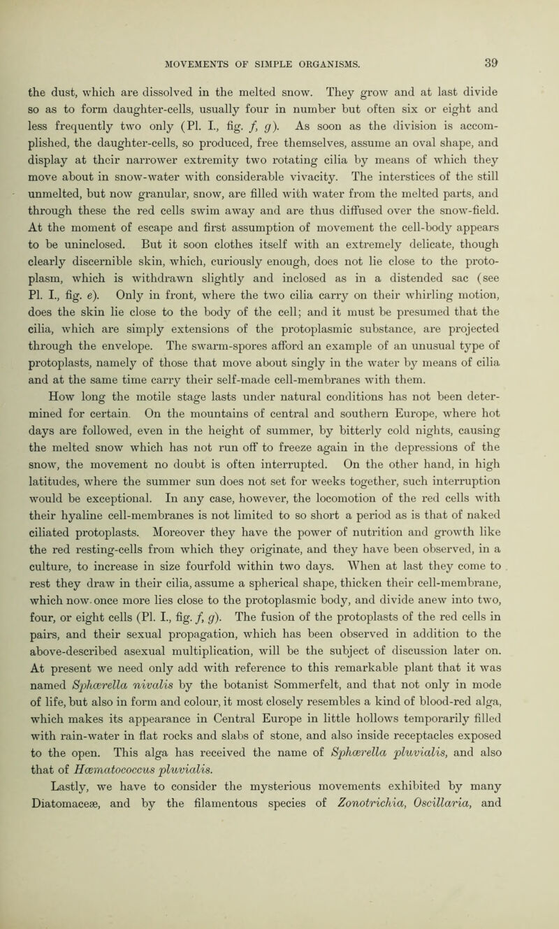 the dust, which are dissolved in the melted snow. They grow and at last divide so as to form daughter-cells, usually four in number but often six or eight and less frequently two only (PI. I., fig. /, g). As soon as the division is accom- plished, the daughter-cells, so produced, free themselves, assume an oval shape, and display at their narrower extremity two rotating cilia by means of which they move about in snow-water with considerable vivacity. The interstices of the still unmelted, but now granular, snow, are filled with water from the melted parts, and through these the red cells swim away and are thus diffused over the snow-field. At the moment of escape and first assumption of movement the cell-body appears to be uninclosed. But it soon clothes itself with an extremely delicate, though clearly discernible skin, which, curiously enough, does not lie close to the proto- plasm, which is withdrawn slightly and inclosed as in a distended sac (see PI. I., fig. e). Only in front, where the two cilia carry on their whirling motion, does the skin lie close to the body of the cell; and it must be presumed that the cilia, which are simply extensions of the protoplasmic substance, are projected through the envelope. The swarm-spores afford an example of an unusual type of protoplasts, namely of those that move about singly in the water by means of cilia and at the same time carry their self-made cell-membranes with them. How long the motile stage lasts under natural conditions has not been deter- mined for certain. On the mountains of central and southern Europe, where hot days are followed, even in the height of summer, by bitterly cold nights, causing the melted snow which has not run off to freeze again in the depressions of the snow, the movement no doubt is often interrupted. On the other hand, in high latitudes, where the summer sun does not set for weeks together, such interruption would be exceptional. In any case, however, the locomotion of the red cells with their hyaline cell-membranes is not limited to so short a period as is that of naked ciliated protoplasts. Moreover they have the power of nutrition and growth like the red resting-cells from which they originate, and they have been observed, in a culture, to increase in size fourfold within two days. When at last they come to rest they draw in their cilia, assume a spherical shape, thicken their cell-membrane, which now- once more lies close to the protoplasmic body, and divide anew into two, four, or eight cells (PI. I., fig. /, g). The fusion of the protoplasts of the red cells in pairs, and their sexual propagation, which has been observed in addition to the above-described asexual multiplication, will be the subject of discussion later on. At present we need only add with reference to this remarkable plant that it was named Sphcerella nivalis by the botanist Sommerfelt, and that not only in mode of life, but also in form and colour, it most closely resembles a kind of blood-red alga, which makes its appearance in Central Europe in little hollows temporarily filled with rain-water in flat rocks and slabs of stone, and also inside receptacles exposed to the open. This alga has received the name of Sphcerella pluvialis, and also that of Hcematococcus pluvialis. Lastly, we have to consider the mysterious movements exhibited by many Diatomaceae, and by the filamentous species of Zonotrichia, Oscillaria, and