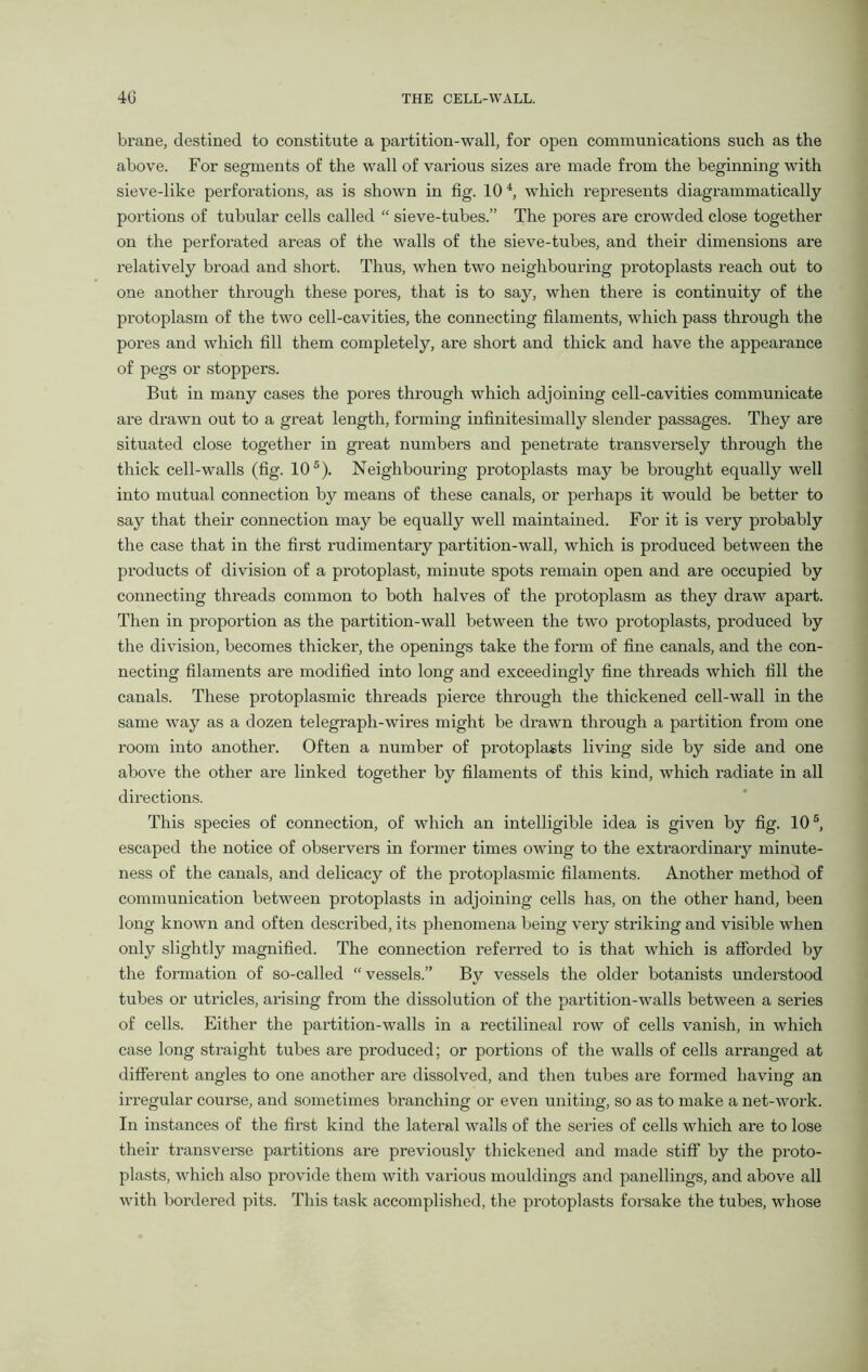 brane, destined to constitute a partition-wall, for open communications such as the above. For segments of the wall of various sizes are made from the beginning with sieve-like perforations, as is shown in fig. 104, which represents diagrammatically portions of tubular cells called “ sieve-tubes.” The pores are crowded close together on the perforated areas of the walls of the sieve-tubes, and their dimensions are relatively broad and short. Thus, when two neighbouring protoplasts reach out to one another through these pores, that is to say, when there is continuity of the protoplasm of the two cell-cavities, the connecting filaments, which pass through the pores and which fill them completely, are short and thick and have the appearance of pegs or stoppers. But in many cases the pores through which adjoining cell-cavities communicate are drawn out to a great length, forming infinitesimally slender passages. They are situated close together in great numbers and penetrate transversely through the thick cell-walls (fig. 10 5). Neighbouring protoplasts may be brought equally well into mutual connection by means of these canals, or perhaps it would be better to say that their connection may be equally well maintained. For it is very probably the case that in the first rudimentary partition-wall, which is produced between the products of division of a protoplast, minute spots remain open and are occupied by connecting threads common to both halves of the protoplasm as they draw apart. Then in proportion as the partition-wall between the two protoplasts, produced by the division, becomes thicker, the openings take the form of fine canals, and the con- necting filaments are modified into long and exceedingly fine threads which fill the canals. These protoplasmic threads pierce through the thickened cell-wall in the same way as a dozen telegraph-wires might be drawn through a partition from one room into another. Often a number of protoplasts living side by side and one above the other are linked together by filaments of this kind, which radiate in all directions. This species of connection, of which an intelligible idea is given by fig. 105, escaped the notice of observers in former times owing to the extraordinary minute- ness of the canals, and delicacy of the protoplasmic filaments. Another method of communication between protoplasts in adjoining cells has, on the other hand, been long known and often described, its phenomena being very striking and visible when only slightly magnified. The connection referred to is that which is afforded by the formation of so-called “ vessels.” By vessels the older botanists understood tubes or uti'icles, arising from the dissolution of the partition-walls between a series of cells. Either the partition-walls in a rectilineal row of cells vanish, in which case long straight tubes are produced; or portions of the walls of cells arranged at different angles to one another are dissolved, and then tubes are formed having an irregular course, and sometimes branching or even uniting, so as to make a net-work. In instances of the first kind the lateral walls of the series of cells which are to lose their transverse partitions are previously thickened and made stiff by the proto- plasts, which also provide them with various mouldings and panellings, and above all with bordered pits. This task accomplished, the protoplasts forsake the tubes, whose