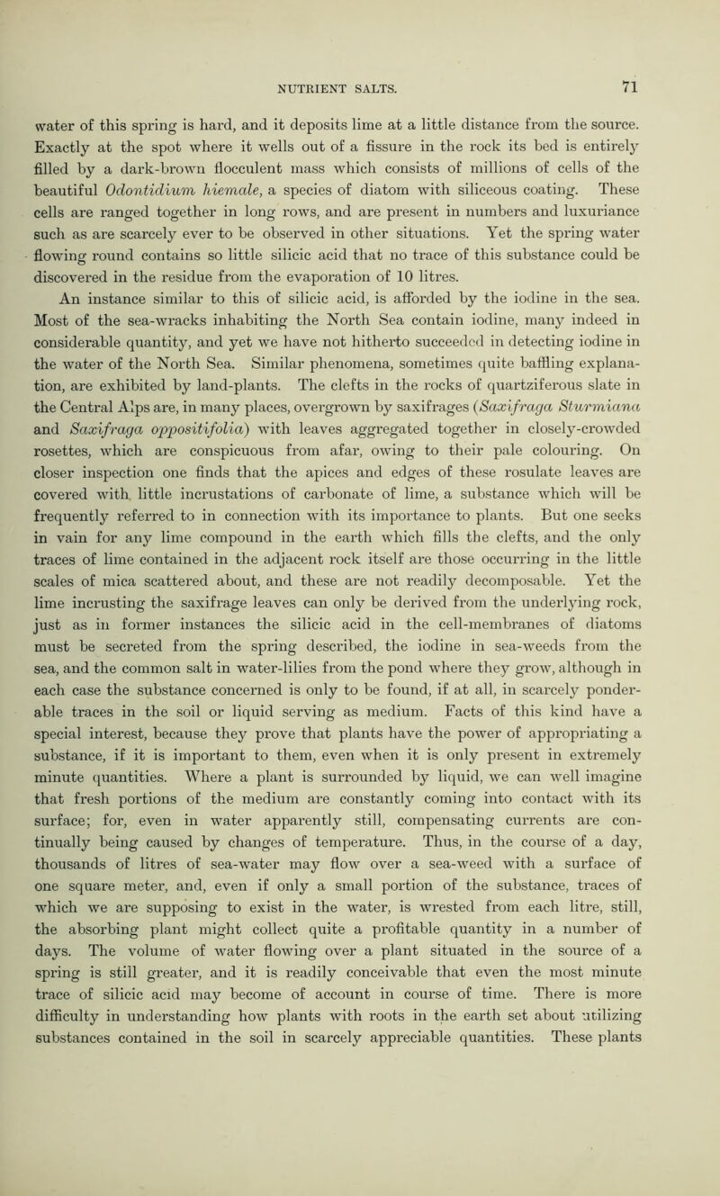 water of this spring is hard, and it deposits lime at a little distance from the source. Exactly at the spot where it wells out of a fissure in the rock its bed is entirely filled by a dark-brown flocculent mass which consists of millions of cells of the beautiful Odontidium hiemale, a species of diatom with siliceous coating. These cells are ranged together in long rows, and are present in numbers and luxuriance such as are scarcely ever to be observed in other situations. Yet the spring water flowing round contains so little silicic acid that no trace of this substance could be discovered in the residue from the evaporation of 10 litres. An instance similar to this of silicic acid, is afforded by the iodine in the sea. Most of the sea-wracks inhabiting the North Sea contain iodine, many indeed in considerable quantity, and yet we have not hitherto succeeded in detecting iodine in the water of the North Sea. Similar phenomena, sometimes quite baffling explana- tion, are exhibited by land-plants. The clefts in the rocks of quartziferous slate in the Central Alps are, in many places, overgrown by saxifrages (Saxifraga Sturmicma and Saxifraga oppositifolia) with leaves aggregated together in closely-crowded rosettes, which are conspicuous from afar, owing to their pale colouring. On closer inspection one finds that the apices and edges of these rosulate leaves are covered with little incrustations of carbonate of lime, a substance which will be frequently referred to in connection with its importance to plants. But one seeks in vain for any lime compound in the earth which fills the clefts, and the only traces of lime contained in the adjacent rock itself are those occurring in the little scales of mica scattered about, and these are not readily decomposable. Yet the lime incrusting the saxifrage leaves can only be derived from the underlying rock, just as in former instances the silicic acid in the cell-membranes of diatoms must be secreted from the spring described, the iodine in sea-weeds from the sea, and the common salt in water-lilies from the pond where they grow, although in each case the substance concerned is only to be found, if at all, in scarcely ponder- able traces in the soil or liquid serving as medium. Facts of this kind have a special interest, because they prove that plants have the power of appropriating a substance, if it is important to them, even when it is only present in extremely minute quantities. Where a plant is surrounded by liquid, we can well imagine that fresh portions of the medium are constantly coming into contact with its surface; for, even in water apparently still, compensating currents are con- tinually being caused by changes of temperature. Thus, in the course of a day, thousands of litres of sea-water may flow over a sea-weed with a surface of one square meter, and, even if only a small portion of the substance, traces of which we are supposing to exist in the water, is wrested from each litre, still, the absorbing plant might collect quite a profitable quantity in a number of days. The volume of water flowing over a plant situated in the source of a spring is still greater, and it is readily conceivable that even the most minute trace of silicic acid may become of account in course of time. There is more difficulty in understanding how plants with roots in the earth set about utilizing substances contained in the soil in scarcely appreciable quantities. These plants