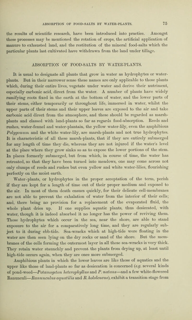 the results of scientific research, have been introduced into practice. Amongst these processes may be mentioned the rotation of crops, the artificial application of manure to exhausted land, and the restitution of the mineral food-salts which the particular plants last cultivated have withdrawn from the land under tillage. ABSORPTION OF FOOD-SALTS BY WATER-PLANTS. It is usual to designate all plants that grow in water as hydrophytes or water- plants. But in their narrower sense these names are only applicable to those plants which, during their entire lives, vegetate under water and derive their nutriment, especially carbonic acid, direct from the water. A number of plants have widely ramifying roots fixed in the earth at the bottom of water, and the lower parts of their stems, either temporarily or throughout life, immersed in water, whilst the upper parts of their stems and their upper leaves are exposed to the air and take carbonic acid direct from the atmosphere, and these should be regarded as marsh- plants and classed with land-plants so far as regards food-absorption. Reeds and rushes, water-fennel and water-plantain, the yellow water-lily, even the amphibious Polygonum and the white water-lily, are marsh-plants and not true hydrophytes. It is characteristic of all these marsh-plants, that if they are entirely submerged for any length of time they die, whereas they are not injured if the water’s level at the place where they grow sinks so as to expose the lower portions of the stem. In places formerly submerged, but from which, in course of time, the water has retreated, so that they have been turned into meadows, one may come across not only clumps of reeds and rushes but even yellow and white water-lilies, flourishing perfectly on the moist earth. Water-plants, or hydrophytes in the proper acceptation of the term, perish if they are kept for a length of time out of their proper medium and exposed to the air. In most of them death ensues quickly, for their delicate cell-membranes are not able to prevent the exhalation of water from the interior of their cells; and, there being no provision for a replacement of the evaporated fluid, the whole plant dries up. If one supplies aquatic plants, thus desiccated, with water, though it is indeed absorbed it no longer has the power of reviving them. Those hydrophytes which occur in the sea, near the shore, are able to stand exposure to the air for a comparatively long time, and they are regularly sub- ject to it during ebb-tide. Sea-wracks which at high-tide were floating in the water are then seen lying on the dry rocks or sand of the shore. But the mem- branes of the cells forming the outermost layer in all these sea-wracks is very thick. They retain water staunchly and prevent the plants from drying up, at least until high-tide occurs again, when they are once more submerged. Amphibious plants in which the lower leaves are like those of aquatics and the upper like those of land-plants so far as desiccation is concerned (e.g. several kinds of pond-weed—Potamogeton heterophyllus and P. natans—and a few white-flowered Ranunculi—Ranunculus aquatilis and R. hololeucus), exhibit a transition stage from