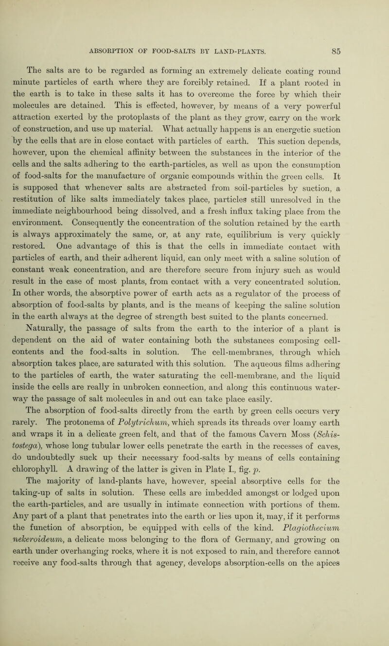The salts are to be regarded as forming an extremely delicate coating round minute particles of earth where they are forcibly retained. If a plant rooted in the earth is to take in these salts it has to overcome the force by which their molecules are detained. This is effected, however, by means of a very powerful attraction exerted by the protoplasts of the plant as they grow, carry on the work of construction, and use up material. What actually happens is an energetic suction by the cells that are in close contact with particles of earth. This suction depends, however, upon the chemical affinity between the substances in the interior of the cells and the salts adhering to the earth-particles, as well as upon the consumption of food-salts for the manufacture of organic compounds within the green cells. It is supposed that whenever salts are abstracted from soil-particles by suction, a restitution of like salts immediately takes place, particles still unresolved in the immediate neighbourhood being dissolved, and a fresh influx taking place from the environment. Consequently the concentration of the solution retained by the earth is always approximately the same, or, at any rate, equilibrium is very quickly restored. One advantage of this is that the cells in immediate contact with particles of earth, and their adherent liquid, can only meet with a saline solution of constant weak concentration, and are therefore secure from injury such as would result in the case of most plants, from contact with a very concentrated solution. In other words, the absorptive power of earth acts as a regulator of the process of absorption of food-salts by plants, and is the means of keeping the saline solution in the earth always at the degree of strength best suited to the plants concerned. Naturally, the passage of salts from the earth to the interior of a plant is dependent on the aid of water containing both the substances composing cell- contents and the food-salts in solution. The cell-membranes, through which absorption takes place, are saturated with this solution. The aqueous films adhering to the particles of earth, the water saturating the cell-membrane, and the liquid inside the cells are really in unbroken connection, and along this continuous water- way the passage of salt molecules in and out can take place easily. The absorption of food-salts directly from the earth by green cells occurs very rarely. The protonema of Polytrichum, which spreads its threads over loamy earth and wraps it in a delicate green felt, and that of the famous Cavern Moss (Schis- tostega), whose long tubular lower cells penetrate the earth in the recesses of caves, do undoubtedly suck up their necessary food-salts by means of cells containing chlorophyll. A drawing of the latter is given in Plate I., fig. p. The majority of land-plants have, however, special absorptive cells for the taking-up of salts in solution. These cells are imbedded amongst or lodged upon the earth-particles, and are usually in intimate connection with portions of them. Any part of a plant that penetrates into the earth or lies upon it, may, if it performs the function of absorption, be equipped with cells of the kind. Plagiothecium nekeroideum, a delicate moss belonging to the flora of Germany, and growing on earth under overhanging rocks, where it is not exposed to rain, and therefore cannot receive any food-salts through that agency, develops absorption-cells on the apices