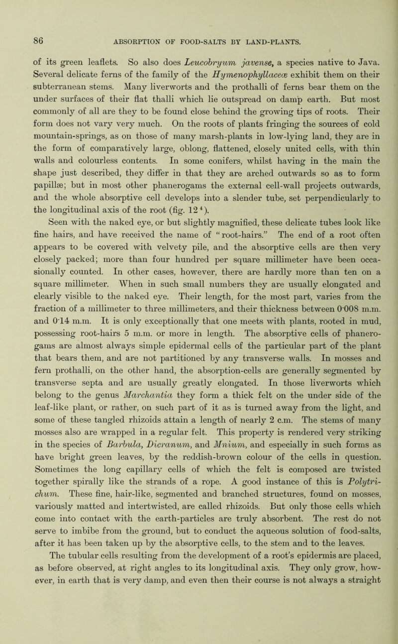 of its green leaflets. So also does Leucobryum javense, a species native to Java. Several delicate ferns of the family of the Hymenophyllacece exhibit them on their subterranean stems. Many liverworts and the prothalli of ferns bear them on the under surfaces of their flat thalli which lie outspread on damp earth. But most commonly of all are they to be found close behind the growing tips of roots. Their form does not vary very much. On the roots of plants fringing the sources of cold mountain-springs, as on those of many marsh-plants in low-lying land, they are in the form of comparatively large, oblong, flattened, closely united cells, with thin walls and colourless contents. In some conifers, whilst having in the main the shape just described, they differ in that they are arched outwards so as to form papillae; but in most other phanerogams the external cell-wall projects outwards, and the whole absorptive cell develops into a slender tube, set perpendicularly to the longitudinal axis of the root (fig. 124). Seen with the naked eye, or but slightly magnified, these delicate tubes look like fine hairs, and have received the name of “root-hairs.” The end of a root often appears to be covered with velvety pile, and the absorptive cells are then very closely packed; more than four hundred per square millimeter have been occa- sionally counted. In other cases, however, there are hardly more than ten on a square millimeter. When in such small numbers they are usually elongated and clearly visible to the naked eye. Their length, for the most part, varies from the fraction of a millimeter to three millimeters, and their thickness between 0 008 m.m. and 0T4 m.m. It is only exceptionally that one meets with plants, rooted in mud, possessing root-hairs 5 m.m. or more in length. The absorptive cells of phanero- gams are almost always simple epidermal cells of the particular part of the plant that bears them, and are not partitioned by any transverse walls. In mosses and fern prothalli, on the other hand, the absorption-cells are generally segmented by transverse septa and are usually greatly elongated. In those liverworts which belong to the genus Marchantia they form a thick felt on the under side of the leaf-like plant, or rather, on such part of it as is turned away from the light, and some of these tangled rhizoids attain a length of nearly 2 c.m. The stems of many mosses also are wrapped in a regular felt. This property is rendered very striking in the species of Barbula, Dicranum, and Mnium, and especially in such forms as have bright green leaves, by the reddish-brown colour of the cells in question. Sometimes the long capillary cells of which the felt is composed are twisted together spirally like the strands of a rope. A good instance of this is Polytri- chum. These fine, hair-like, segmented and branched structures, found on mosses, variously matted and intertwisted, are called rhizoids. But only those cells which come into contact with the earth-particles are truly absorbent. The rest do not serve to imbibe from the ground, but to conduct the aqueous solution of food-salts, after it has been taken up by the absorptive cells, to the stem and to the leaves. The tubular cells resulting from the development of a root’s epidermis are placed, as before observed, at right angles to its longitudinal axis. They only grow, how- ever, in earth that is very damp, and even then their course is not always a straight