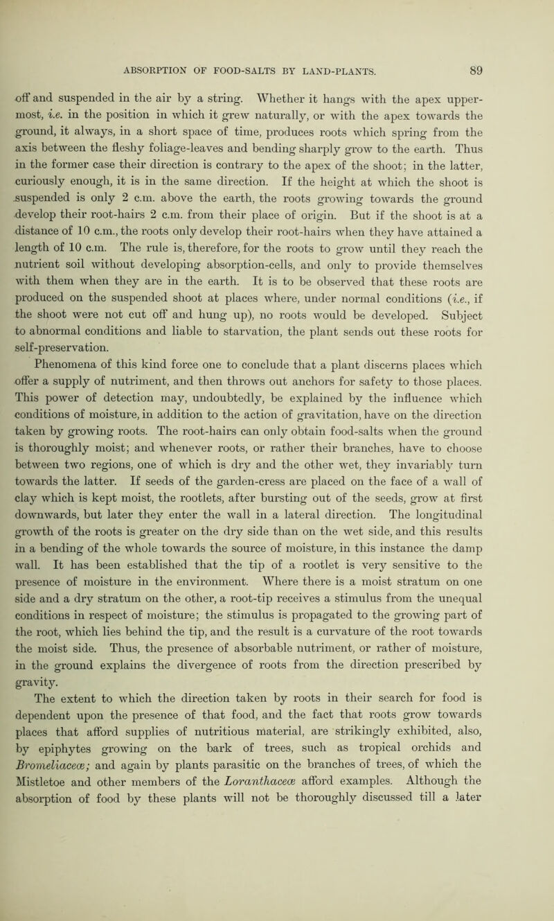 off and suspended in the air by a string. Whether it hangs with the apex upper- most, i.e. in the position in which it grew naturally, or with the apex towards the ground, it always, in a short space of time, produces roots which spring from the axis between the fleshy foliage-leaves and bending sharply grow to the earth. Thus in the former case their direction is contrary to the apex of the shoot; in the latter, curiously enough, it is in the same direction. If the height at which the shoot is .suspended is only 2 c.m. above the earth, the roots growing towards the ground develop their root-hairs 2 c.m. from their place of origin. But if the shoot is at a distance of 10 c.m., the roots only develop their root-hairs when they have attained a length of 10 c.m. The rule is, therefore, for the roots to grow until they reach the nutrient soil without developing absorption-cells, and only to provide themselves with them when they are in the earth. It is to be observed that these roots are produced on the suspended shoot at places where, under normal conditions (i.e., if the shoot were not cut off and hung up), no roots would be developed. Subject to abnormal conditions and liable to starvation, the plant sends out these roots for self-preservation. Phenomena of this kind force one to conclude that a plant discerns places which offer a supply of nutriment, and then throws out anchors for safety to those places. This power of detection may, undoubtedly, be explained by the influence which conditions of moisture, in addition to the action of gravitation, have on the direction taken by growing roots. The root-hairs can only obtain food-salts when the ground is thoroughly moist; and whenever roots, or rather their branches, have to choose between two regions, one of which is dry and the other wet, they invariably turn towai’ds the latter. If seeds of the garden-cress are placed on the face of a wall of clay which is kept moist, the rootlets, after bursting out of the seeds, grow at first downwards, but later they enter the wall in a lateral direction. The longitudinal growth of the roots is greater on the dry side than on the wet side, and this results in a bending of the whole towards the source of moisture, in this instance the damp wall. It has been established that the tip of a rootlet is very sensitive to the presence of moisture in the environment. Where there is a moist stratum on one side and a dry stratum on the other, a root-tip receives a stimulus from the unequal conditions in respect of moisture; the stimulus is propagated to the growing part of the root, which lies behind the tip, and the result is a curvature of the root towards the moist side. Thus, the presence of absorbable nutriment, or rather of moisture, in the ground explains the divergence of roots from the direction prescribed by gravity. The extent to which the direction taken by roots in their search for food is dependent upon the presence of that food, and the fact that roots grow towards places that afford supplies of nutritious material, are strikingly exhibited, also, by epiphytes growing on the bark of trees, such as tropical orchids and Bromeliacece; and again by plants parasitic on the branches of trees, of which the Mistletoe and other members of the Loranthacece afford examples. Although the absorption of food by these plants will not be thoroughly discussed till a later