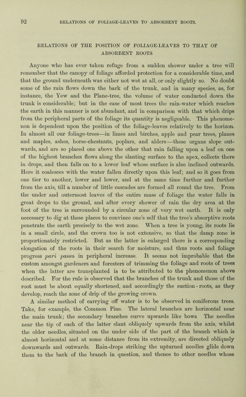 RELATIONS OF THE POSITION OF FOLIAGE-LEAYES TO THAT OF ABSORBENT ROOTS. Anyone who has ever taken refuge from a sudden shower under a tree will remember that the canopy of foliage afforded protection for a considerable time, and that the ground underneath was either not wet at all, or only slightly so. No doubt some of the rain flows down the bark of the trunk, and in many species, as, for instance, the Yew and the Plane-tree, the volume of water conducted down the trunk is considerable; but in the case of most trees the rain-water which reaches the earth in this manner is not abundant, and in comparison with that which drips from the peripheral parts of the foliage its quantity is negligeable. This phenome- non is dependent upon the position of the foliage-leaves relatively to the horizon. In almost all our foliage-trees—in limes and birches, apple and pear trees, planes and maples, ashes, horse-chestnuts, poplars, and alders—these organs slope out- wards, and are so placed one above the other that rain falling upon a leaf on one of the highest branches flows along the slanting surface to the apex, collects there in drops, and then falls on to a lower leaf whose surface is also inclined outwards. Here it coalesces with the water fallen directly upon this leaf; and so it goes from one tier to another, lower and lower, and at the same time further and further from the axis, till a number of little cascades are formed all round the tree. From the under and outermost leaves of the entire mass of foliage the water falls in great drops to the ground, and after every shower of rain the dry area at the foot of the tree is surrounded by a circular zone of very wet earth. It is only necessary to dig at these places to convince one’s self that the tree’s absorptive roots penetrate the earth precisely to the wet zone. When a tree is young, its roots lie in a small circle, and the crown too is not extensive, so that the damp zone is pi'oportionately restricted. But as the latter is enlarged there is a corresponding elongation of the roots in their search for moisture, and thus roots and foliage progress pari passu in peripheral increase. It seems not improbable that the custom amongst gardeners and foresters of trimming the foliage and roots of trees when the latter are transplanted is to be attributed to the phenomenon above described. For the rule is observed that the branches of the trunk and those of the root must be about equally shortened, and accordingly the suction - roots, as they develop, reach the zone of drip of the growing crown. A similar method of carrying off water is to be observed in coniferous trees. Take, for example, the Common Pine. The lateral branches are horizontal near the main trunk; the secondary branches curve upwards like bows The needles near the tip of each of the latter slant obliquely upwards from the axis, whilst the older needles, situated on the under side of the part of the branch which is almost horizontal and at some distance from its extremity, are directed obliquely downwards and outwards. Rain-drops striking the upturned needles glide down them to the bark of the branch in question, and thence to other needles whose