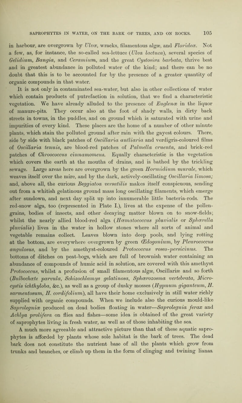 in harbour, are overgrown by Ulvce, wracks, filamentous algae, and Floridece. Not a few, as, for instance, the so-called sea-lettuce (Ulva lactuca), several species of Gelidium, Bangia, and Ceramium, and the great Cystosira barbata, thrive best and in greatest abundance in polluted water of the kind; and there can be no doubt that this is to be accounted for by the presence of a greater quantity of organic compounds in that water. It is not only in contaminated sea-water, but also in other collections of water which contain products of putrefaction in solution, that we find a characteristic vegetation. We have already alluded to the presence of Fuglence in the liquor of manure-pits. They occur also at the foot of shady walls, in dirty back streets in towns, in the puddles, and on ground which is saturated with urine and impurities of every kind. These places are the home of a number of other minute plants, which stain the polluted ground after rain with the gayest colours. There, side by side with black patches of Oscillaria antliaria and verdigris-coloured films of Oscillaria tenuis, are blood-red patches of Palmella cruenta, and brick-red patches of Chroococcus cinnamomeus. Equally characteristic is the vegetation which covers the earth at the mouths of drains, and is bathed by the trickling sewage. Large areas here are overgrown by the green Hormidium murale, which weaves itself over the mire, and by the dark, actively-oscillating Oscillaria limosa; and, above all, the curious Beggiatoa versatilis makes itself conspicuous, sending out from a whitish gelatinous ground mass long oscillating filaments, which emerge after sundown, and next day split up into innumerable little bacteria-rods. The red-snow alga, too (represented in Plate I.), lives at the expense of the pollen- grains, bodies of insects, and other decaying matter blown on to snow-fields; whilst the nearly allied blood-red alga (Hcematococcus pluvialis or Sphcerella pluvialis) lives in the water in hollow stones where all sorts of animal and vegetable remains collect. Leaves blown into deep pools, and lying rotting at the bottom, are everywhere overgrown by green CEdogonium, by Pleurococcus angulosus, and by the amethyst-coloured Protococcus roseo-persicinus. The bottoms of ditches on peat-bogs, which are full of brownish water containing an abundance of compounds of humic acid in solution, are covered with this amethyst Protococcus, whilst a profusion of small filamentous algae, Oscillariae and so forth (Bidbochccte parvula, Schizochlamys gelatinosa, Sphcerozosma vertebrata, Micro- cystis ichthyloba, &c.), as well as a group of dusky mosses (Hypnum giganteum, H. sarmentosum, H. cordifolium), all have their home exclusively in still water richly supplied with organic compounds. When we include also the curious mould-like Saprolegnice produced on dead bodies floating in water—Saprolegnia ferax and Achlya prolifera on flies and fishes—some idea is obtained of the great variety of saprophytes living in fresh water, as well as of those inhabiting the sea. A much more agreeable and attractive picture than that of these aquatic sapro- phytes is afforded by plants whose sole habitat is the bark of trees. The dead bark does not constitute the nutrient base of all the plants which grow from trunks and branches, or climb up them in the form of clinging and twining lianas.